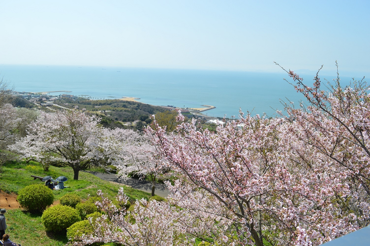 「JALふるさと納税」に 山口県山陽小野田市 が参加しました