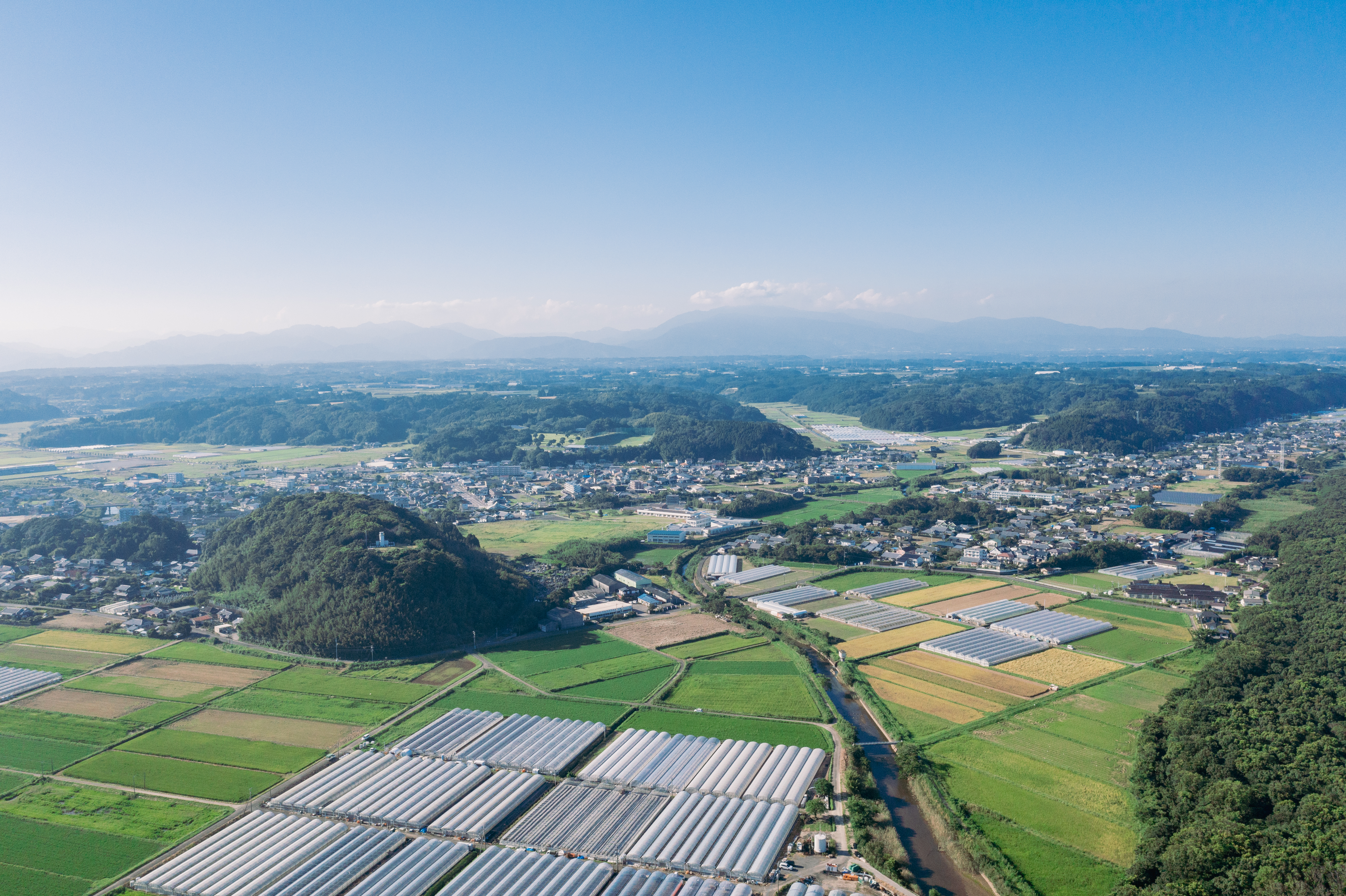 「JALふるさと納税」に 宮崎県新富町 が参加しました