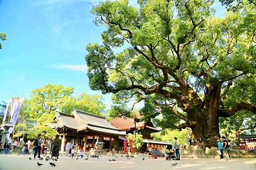 「JALふるさと納税」に 福岡県宇美町が参加しました