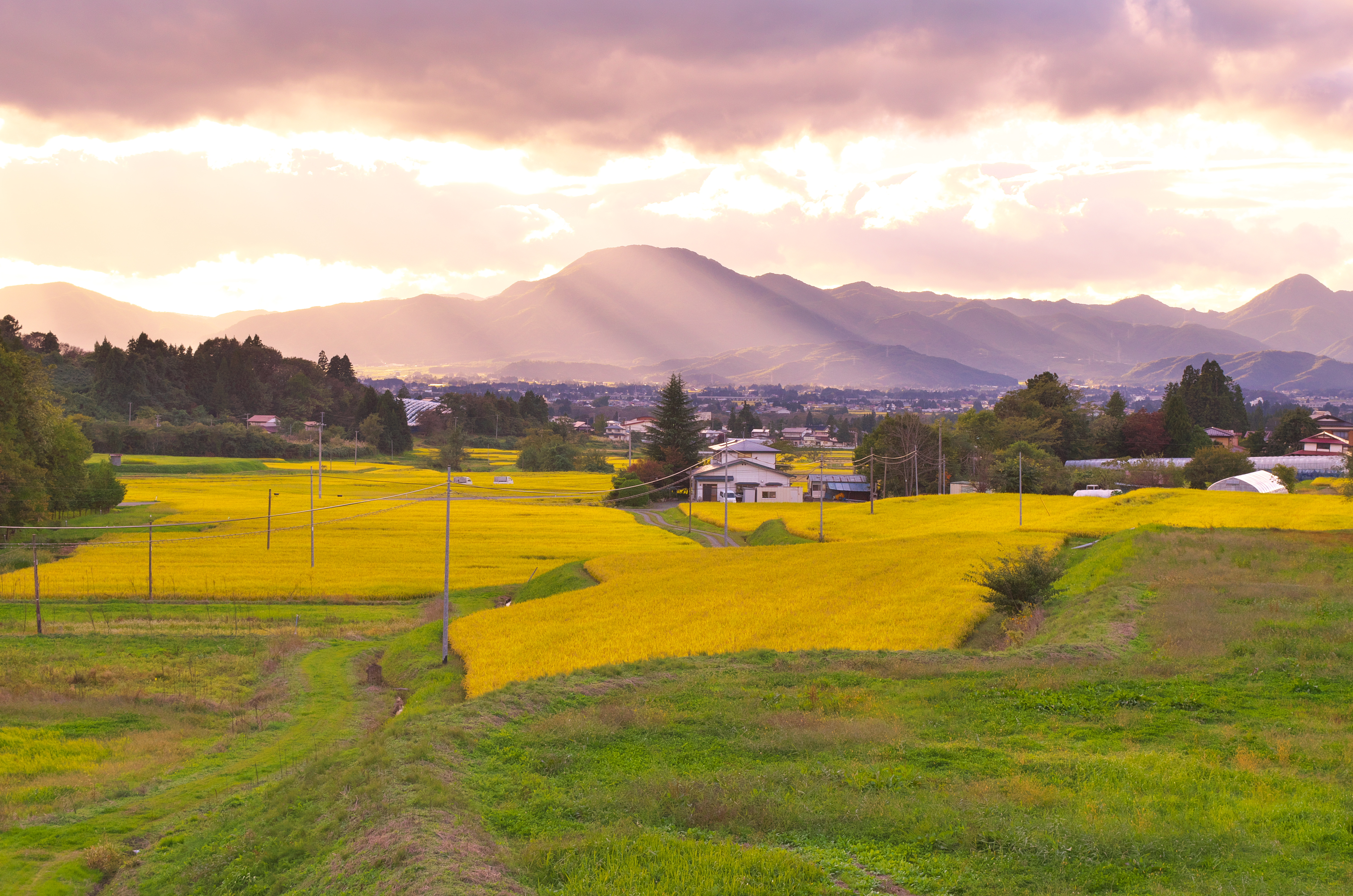 「JALふるさと納税」に 岩手県紫波町 が参加しました。