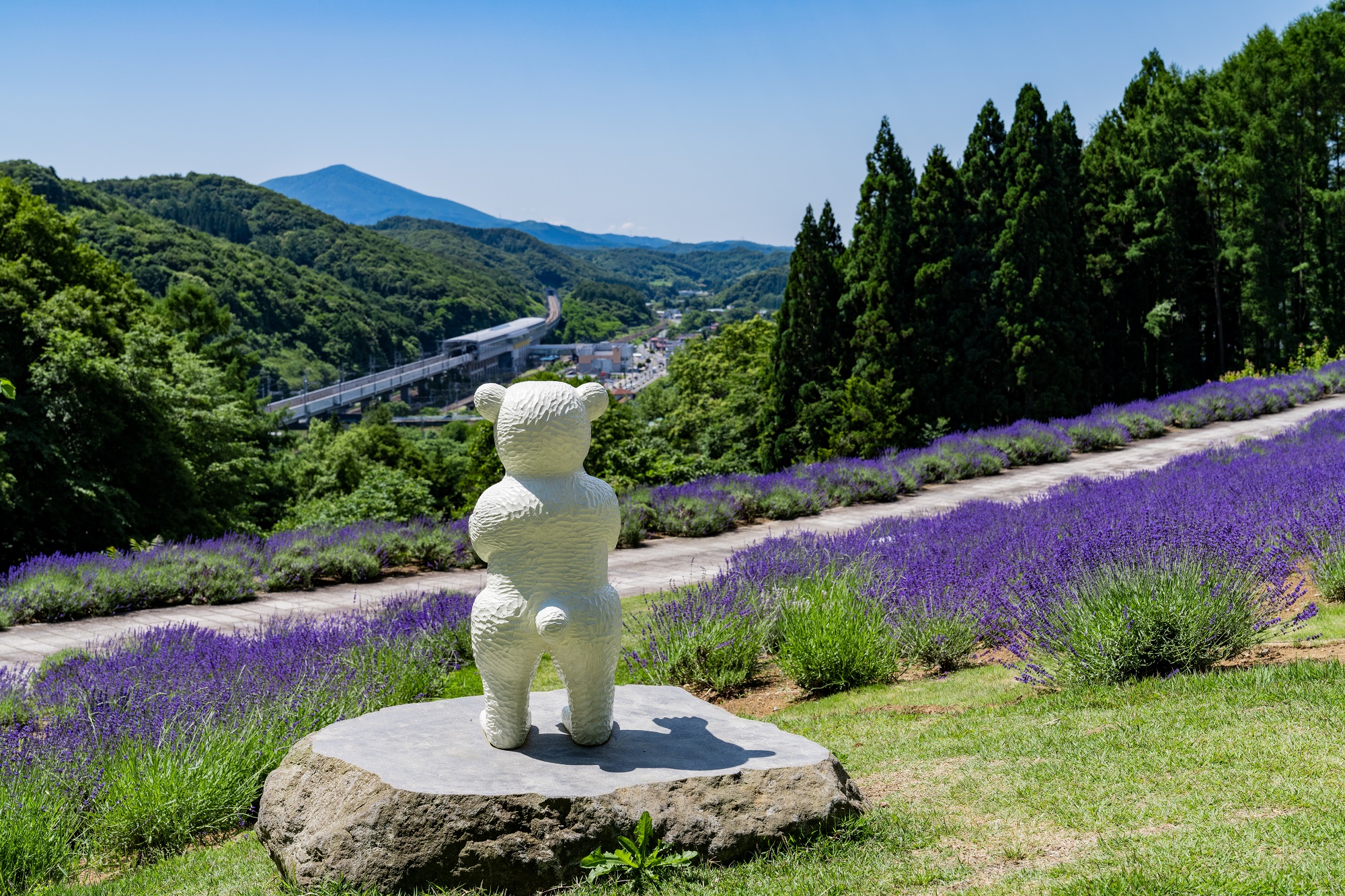 「JALふるさと納税」に 岩手県岩手町 が参加しました