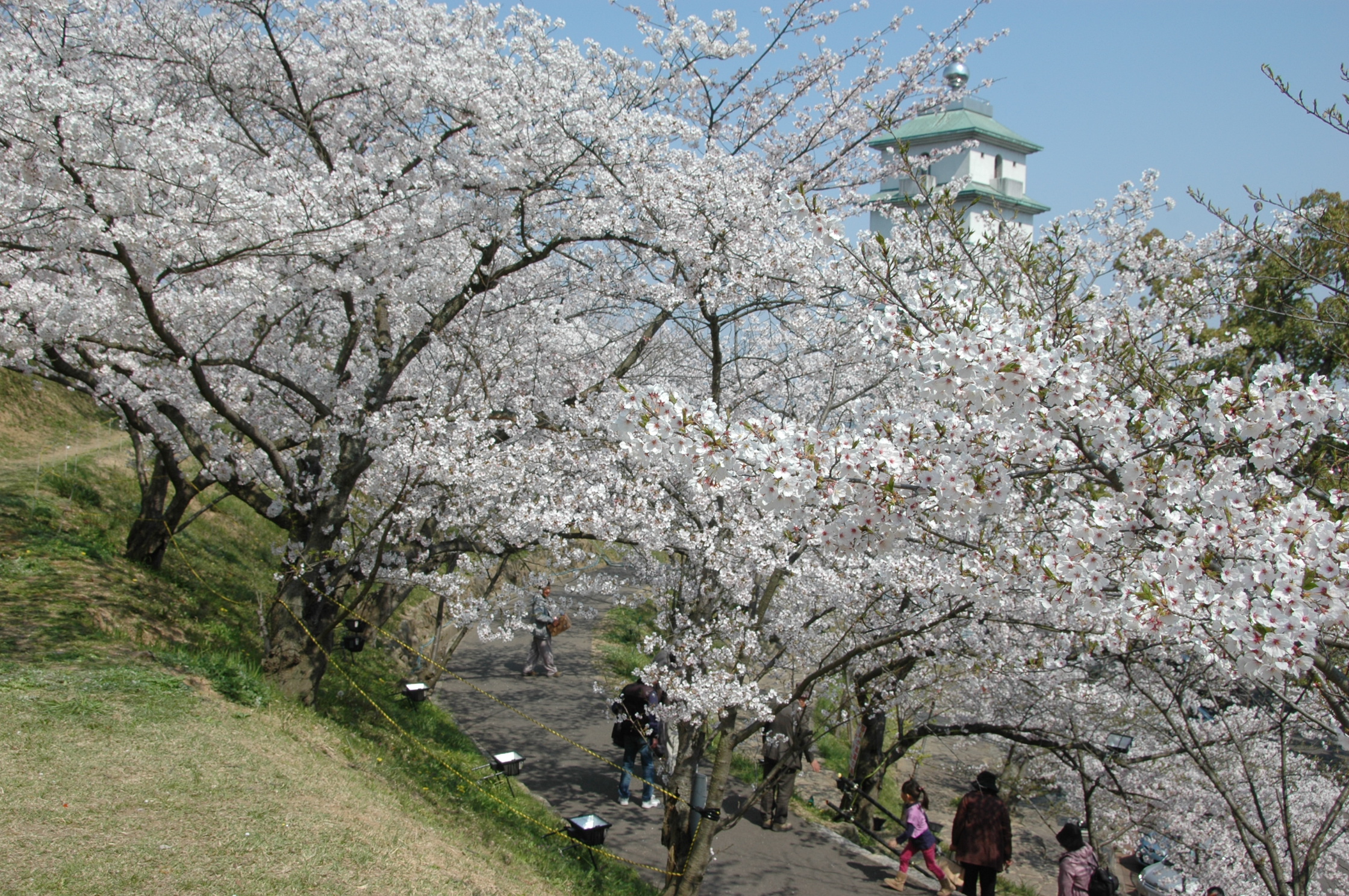 「JALふるさと納税」に 香川県多度津町 が参加しました