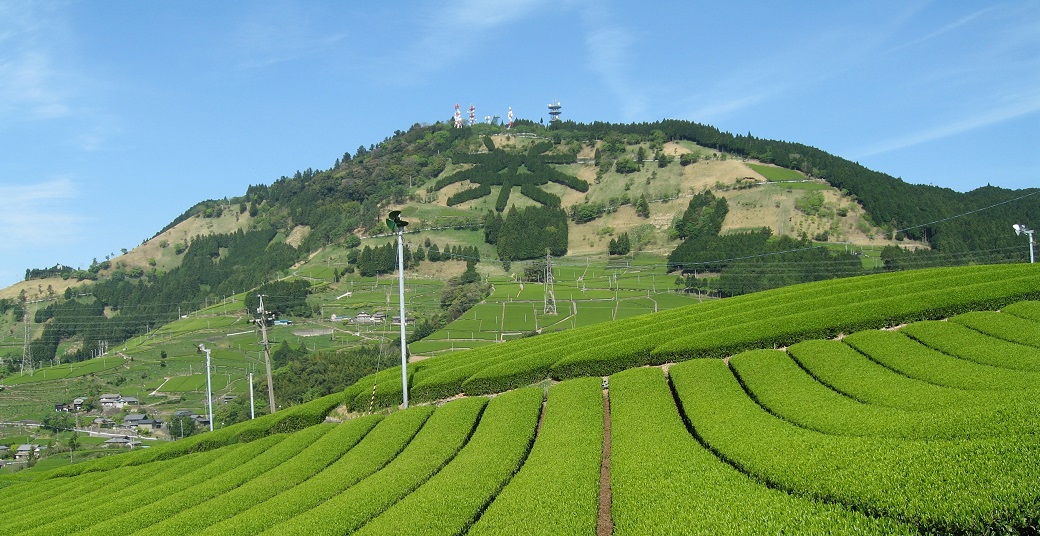 「JALふるさと納税」に静岡県掛川市 が参加しました