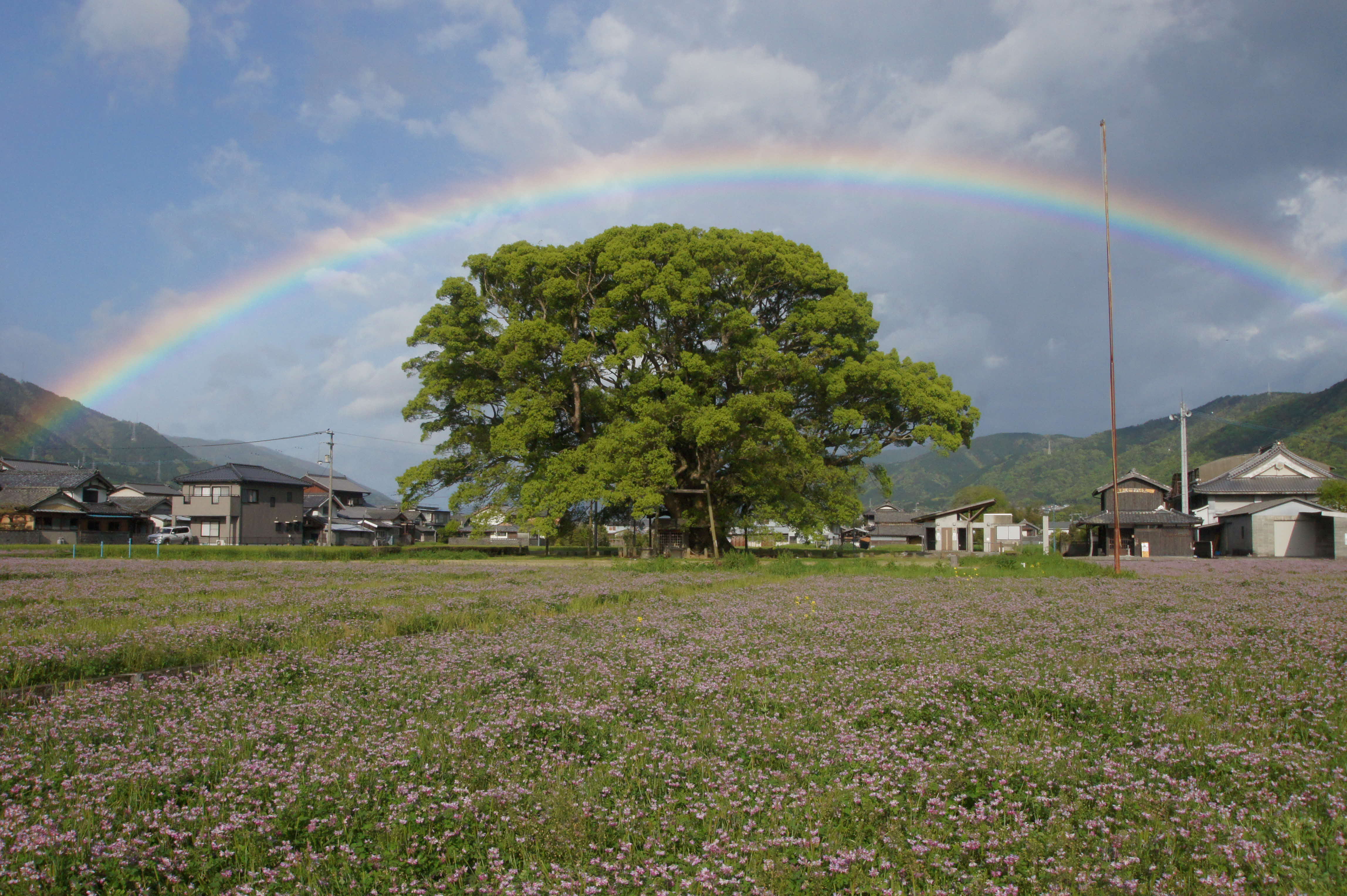 「JALふるさと納税」に 徳島県東みよし町 が参加しました