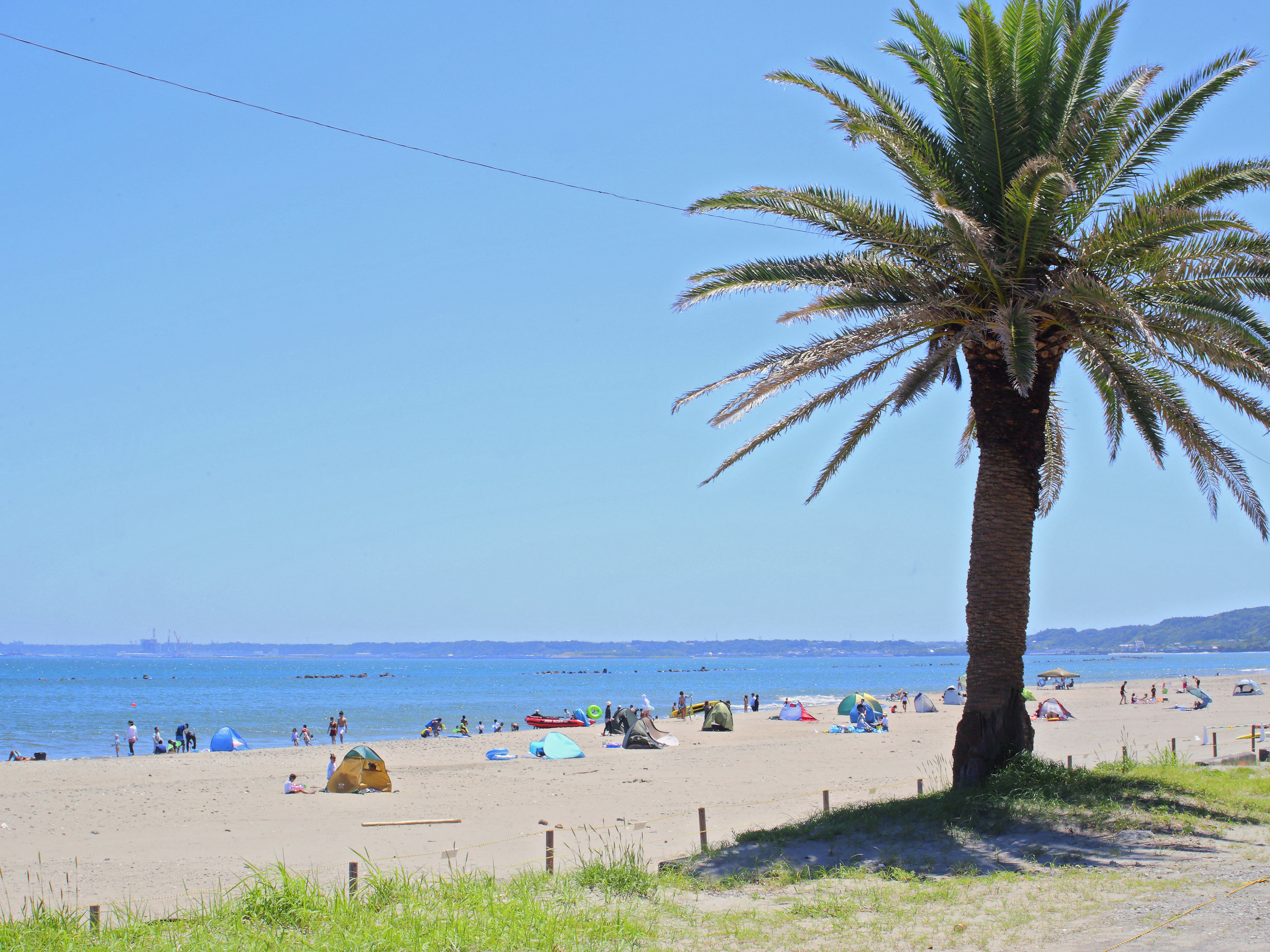 「JALふるさと納税」に 静岡県牧之原市 が参加しました