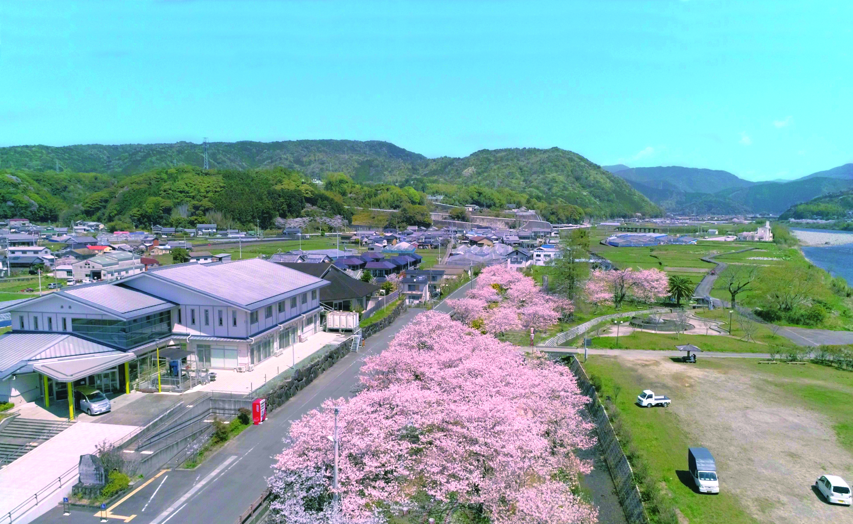 「JALふるさと納税」に高知県田野町が参加しました。