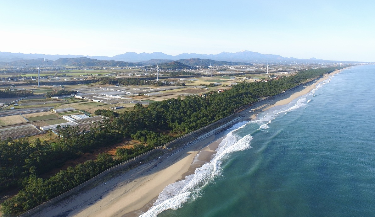 縲繰AL縺オ繧九&縺ィ邏咲ィ弱阪↓ 魑・蜿也恁蛹玲逕コ 縺悟盾蜉縺励∪縺励◆
