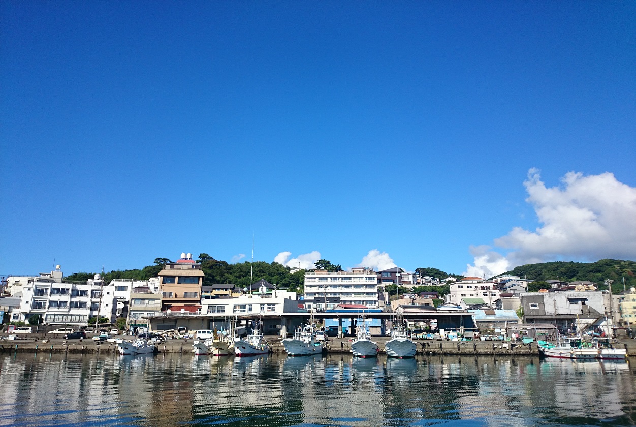 縲繰AL縺オ繧九&縺ィ邏咲ィ弱阪↓ 髱吝イ。逵梧擲莨願ア逕コ 縺悟盾蜉縺励∪縺励◆