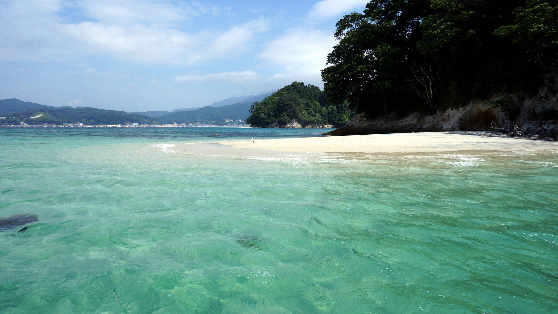 縲繰AL縺オ繧九&縺ィ邏咲ィ弱阪↓ 蟯ゥ謇狗恁螻ア逕ー逕コ 縺悟盾蜉縺励∪縺励◆