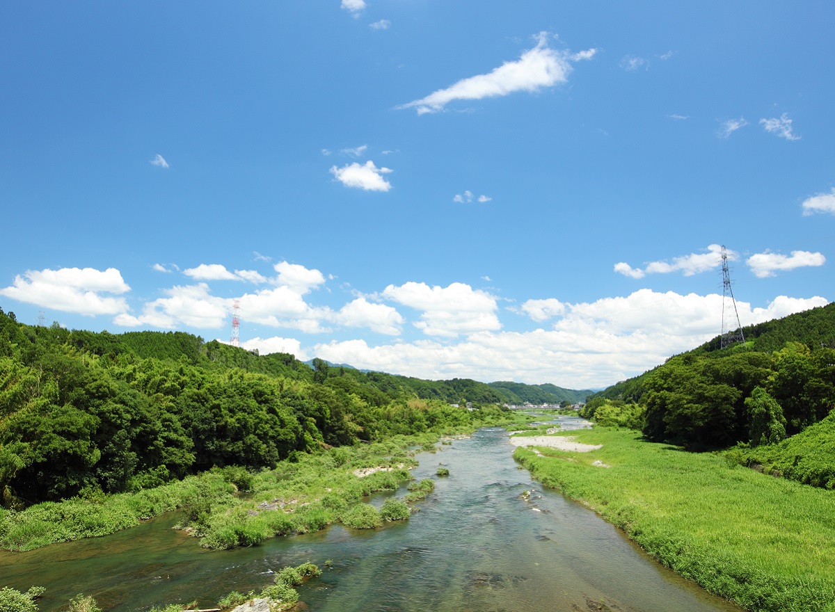 「JALふるさと納税」に 奈良県大淀町 が参加しました。