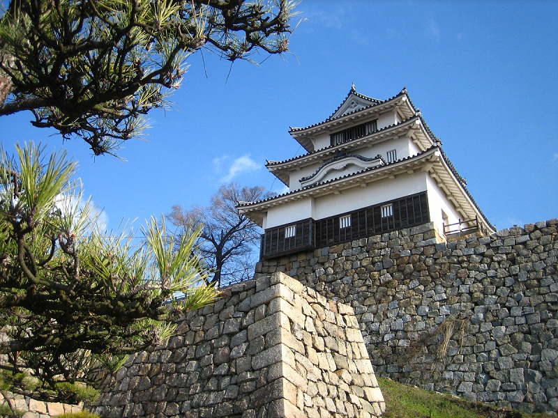 縲繰AL縺オ繧九&縺ィ邏咲ィ弱阪↓ 鬥吝キ晉恁荳ク莠蟶 縺悟盾蜉縺励∪縺励◆