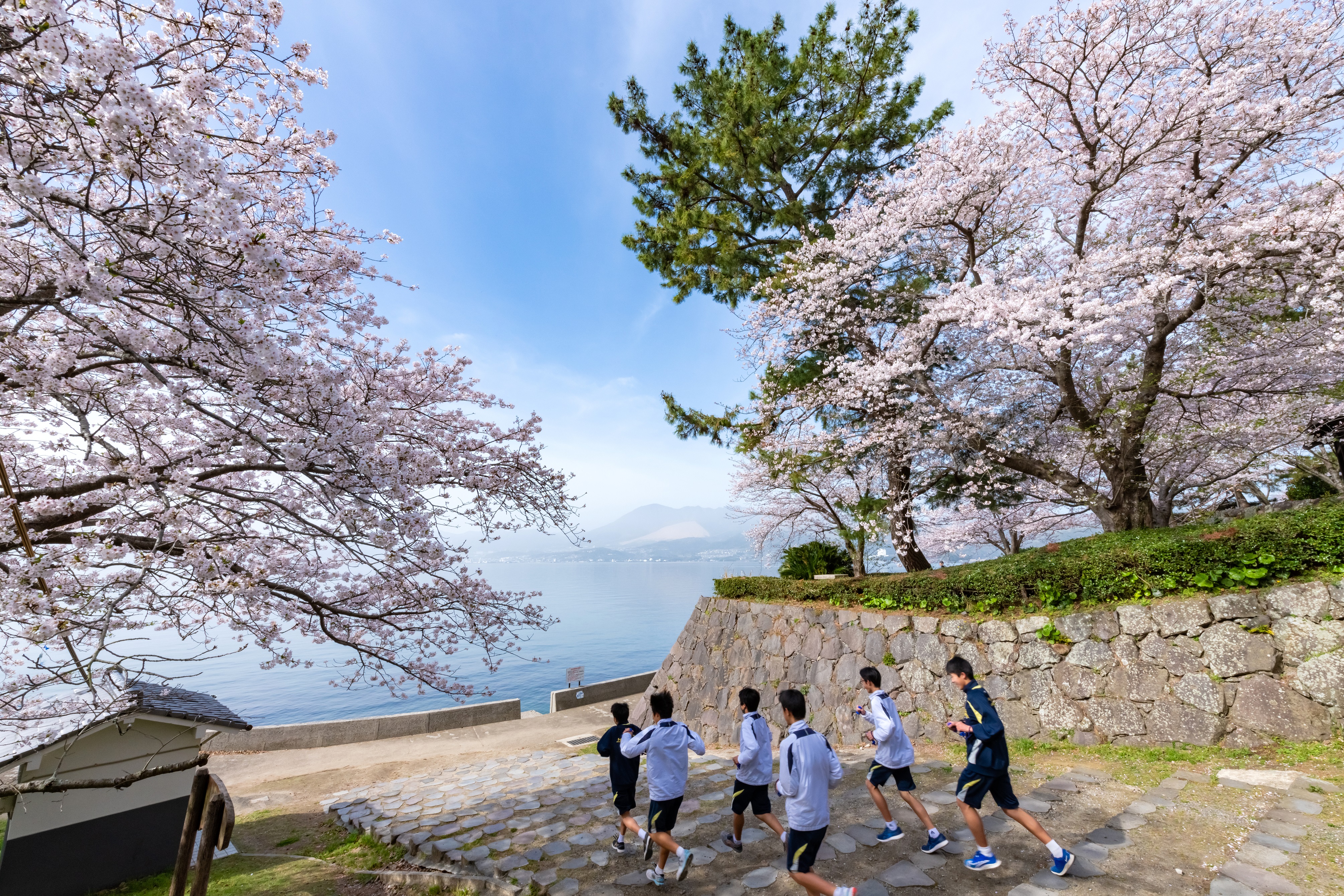 「JALふるさと納税」に 大分県日出町 が参加しました。