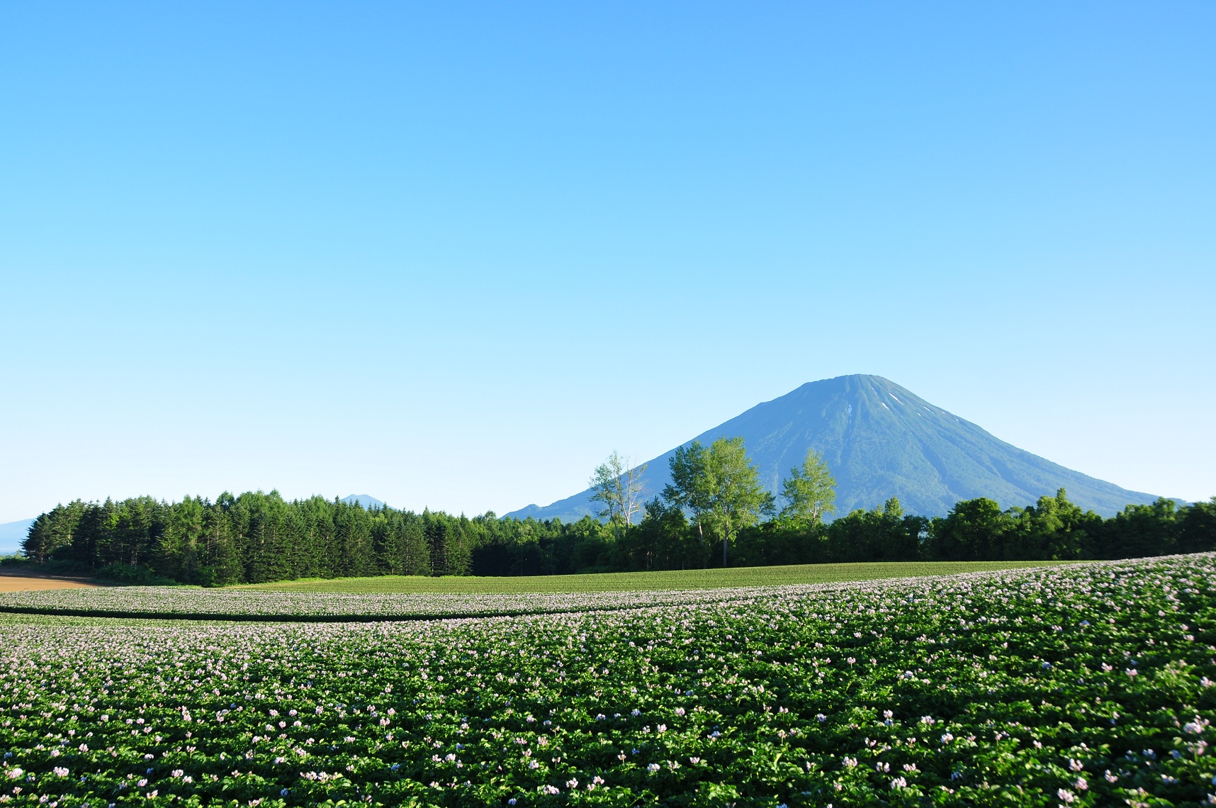 「JALふるさと納税」に  北海道留寿都村 が参加しました