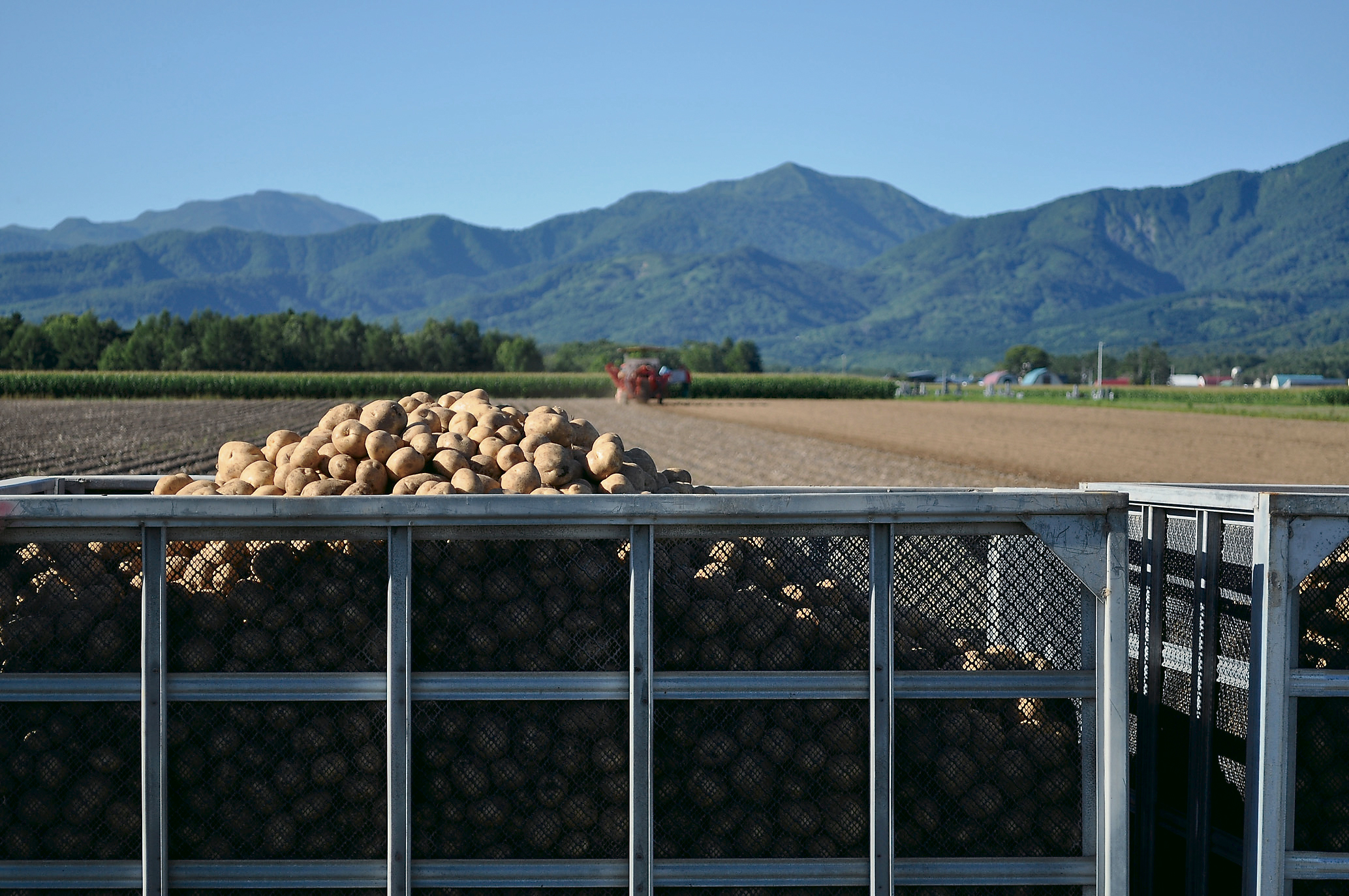 「JALふるさと納税」に 北海道今金町 が参加しました