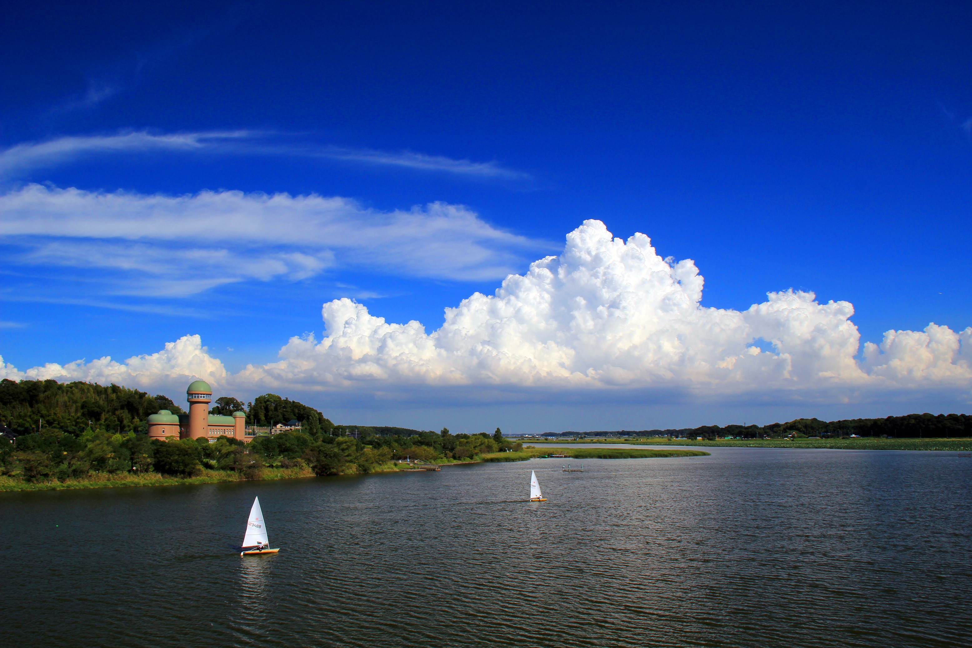 「JALふるさと納税」に 千葉県我孫子市 が参加しました