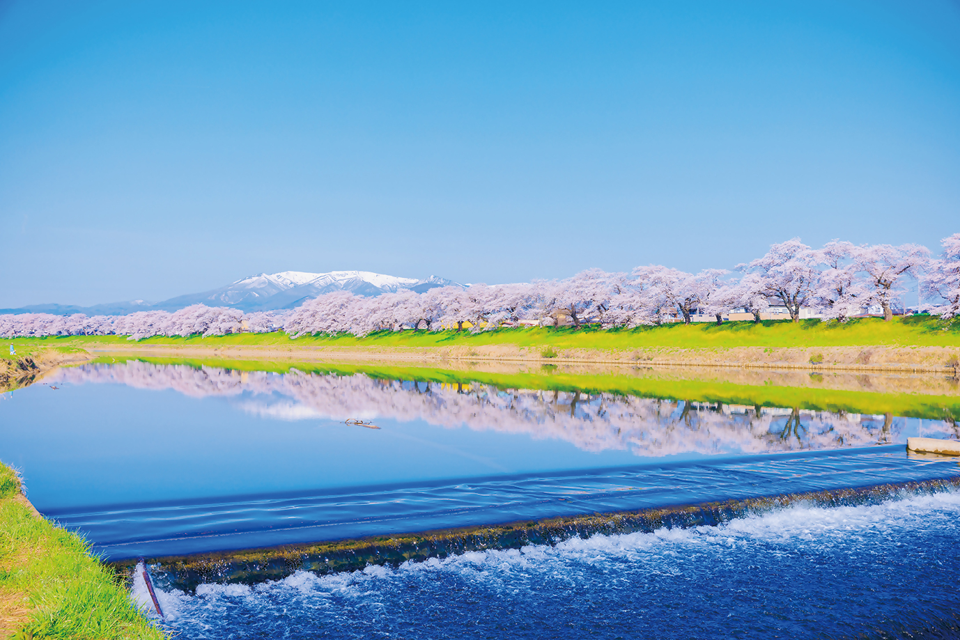 縲繰AL縺オ繧九&縺ィ邏咲ィ弱阪↓ 螳ョ蝓守恁螟ァ豐ウ蜴溽伴 縺悟盾蜉縺励∪縺励◆