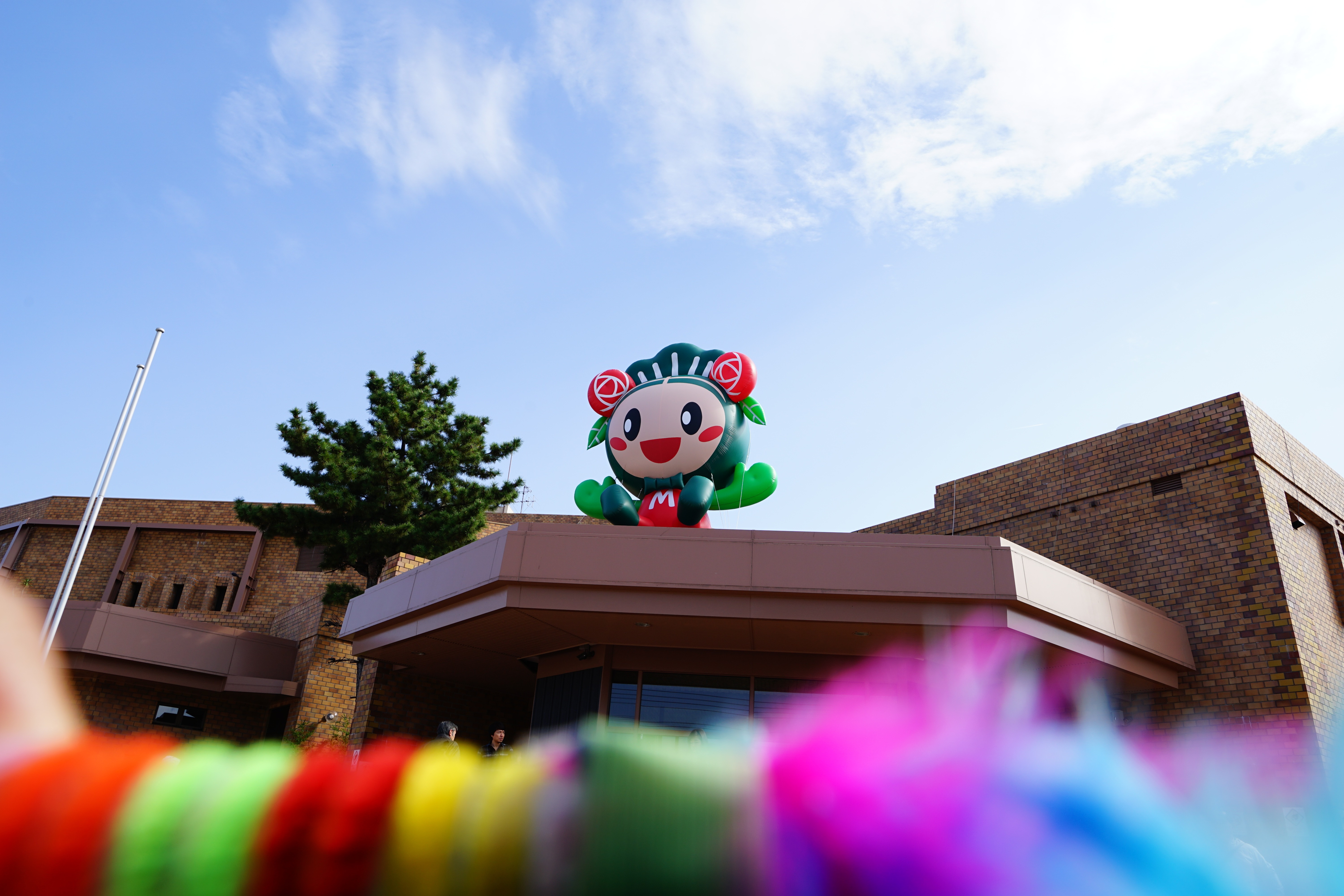 「JALふるさと納税」に 大阪府松原市 が参加しました