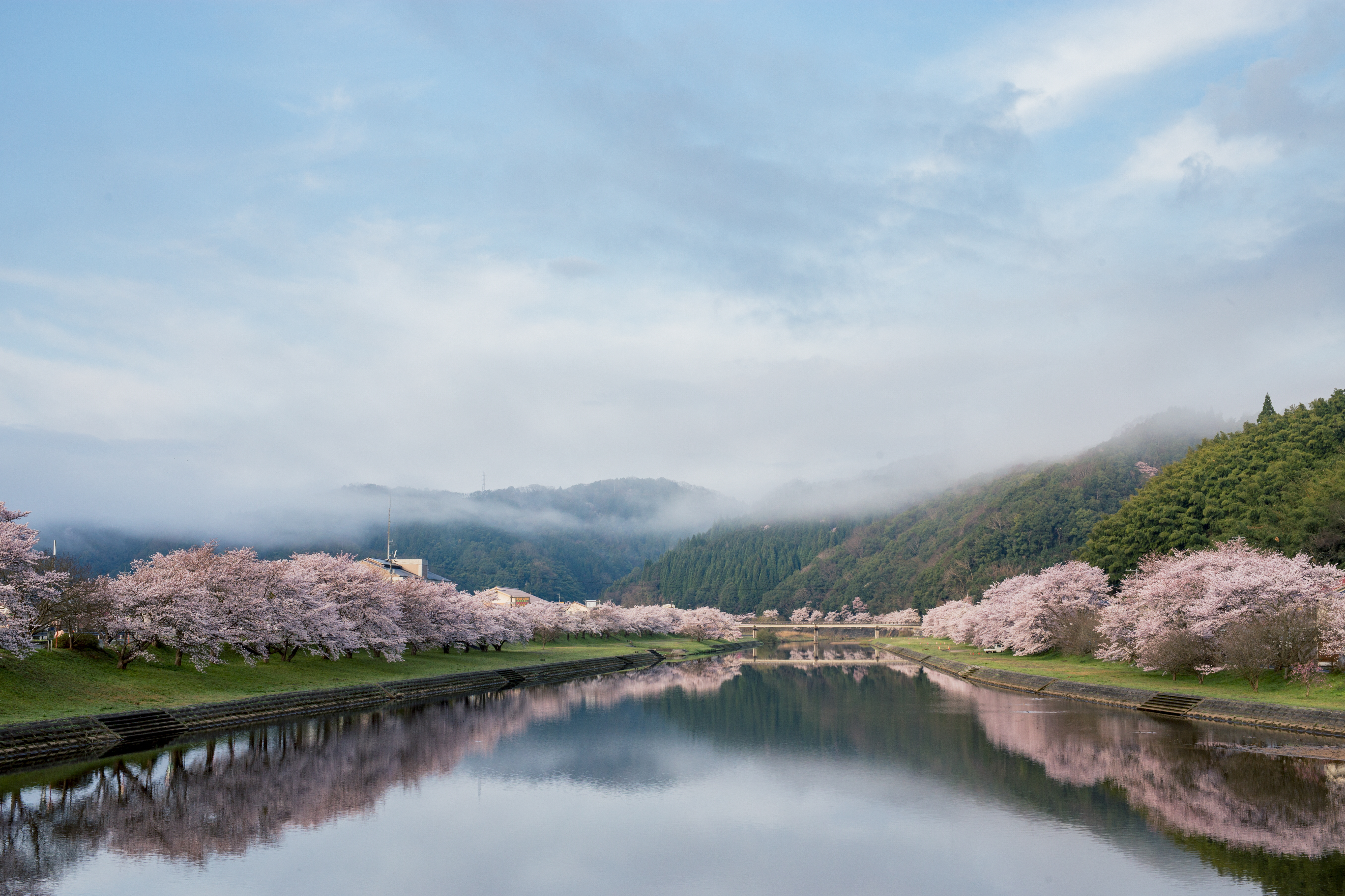 縲繰AL縺オ繧九&縺ィ邏咲ィ弱阪↓ 蟲カ譬ケ逵碁峇蜊怜ク 縺悟盾蜉縺励∪縺励◆