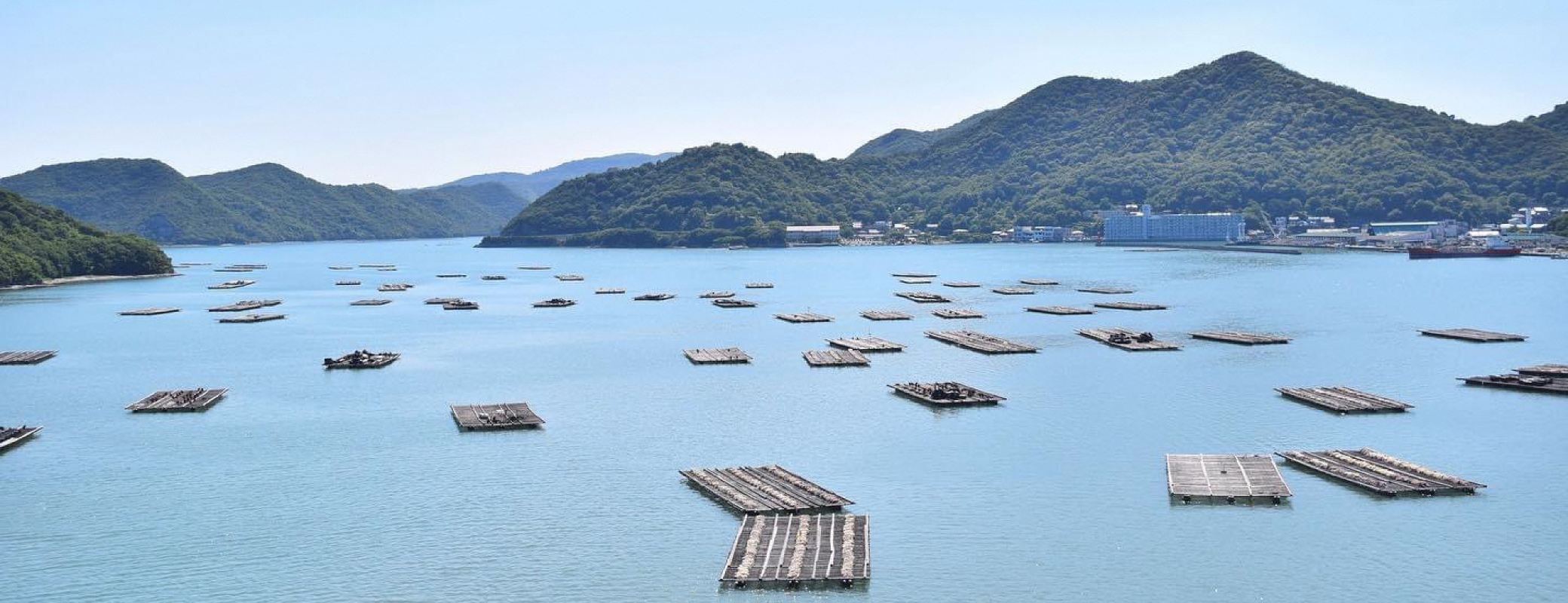 「JALふるさと納税」に 岡山県備前市 が参加しました