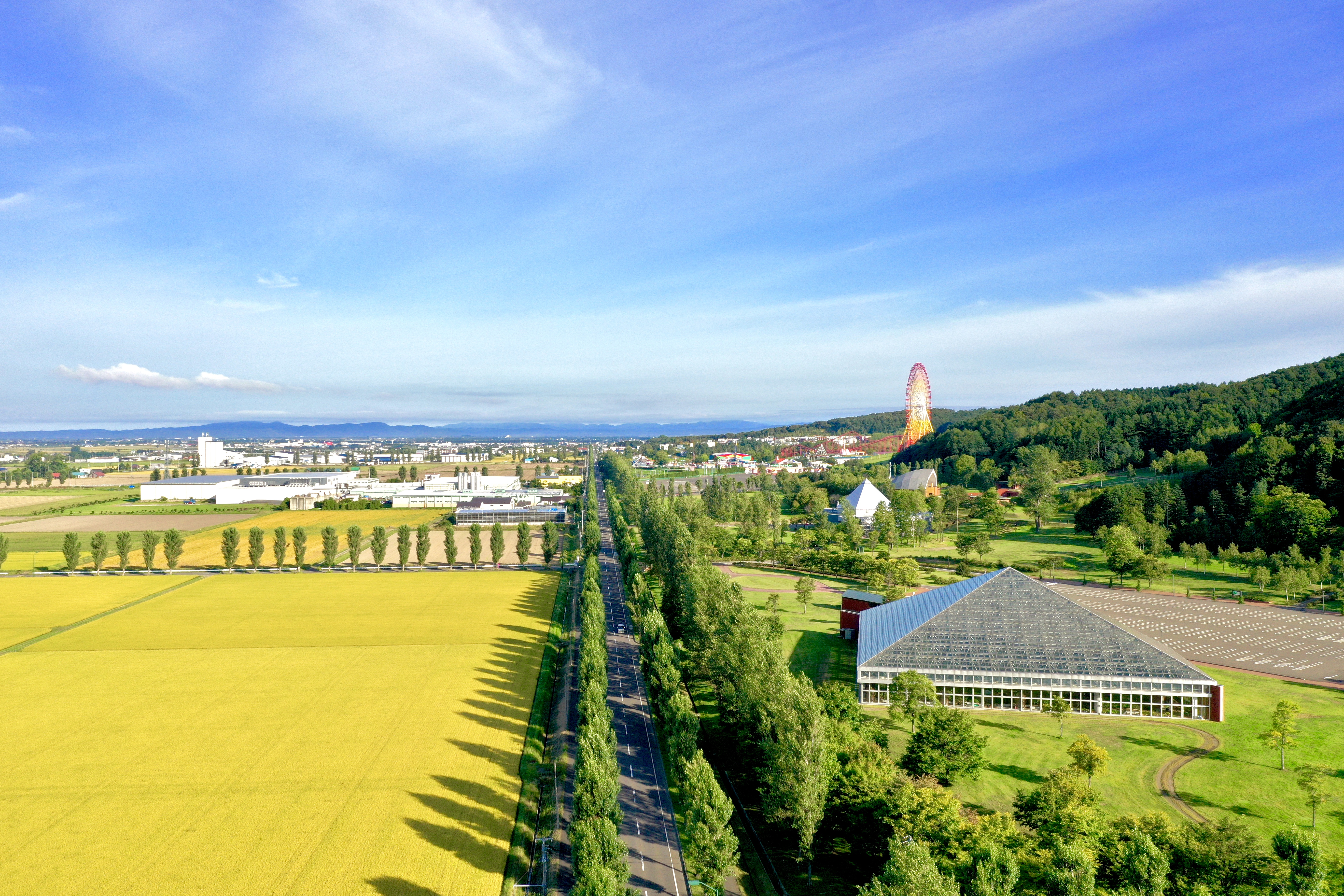 「JALふるさと納税」に 北海道岩見沢市 が参加しました。