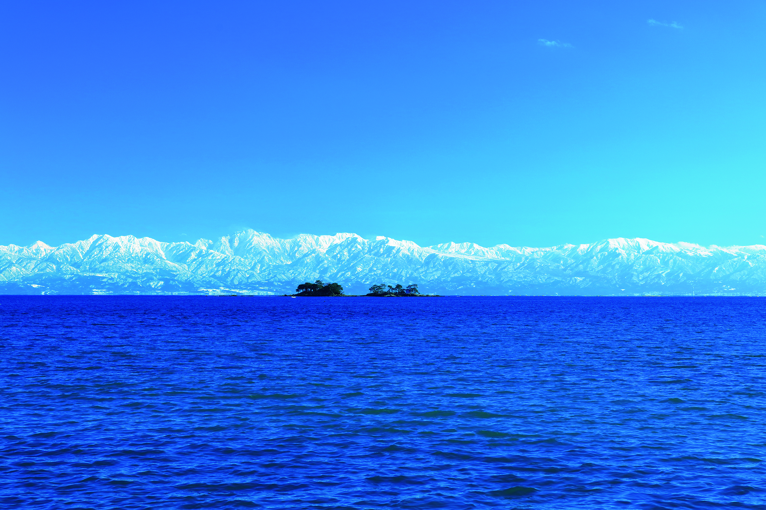 縲繰AL縺オ繧九&縺ィ邏咲ィ弱阪↓ 蟇悟アア逵梧ーキ隕句ク 縺悟盾蜉縺励∪縺励◆