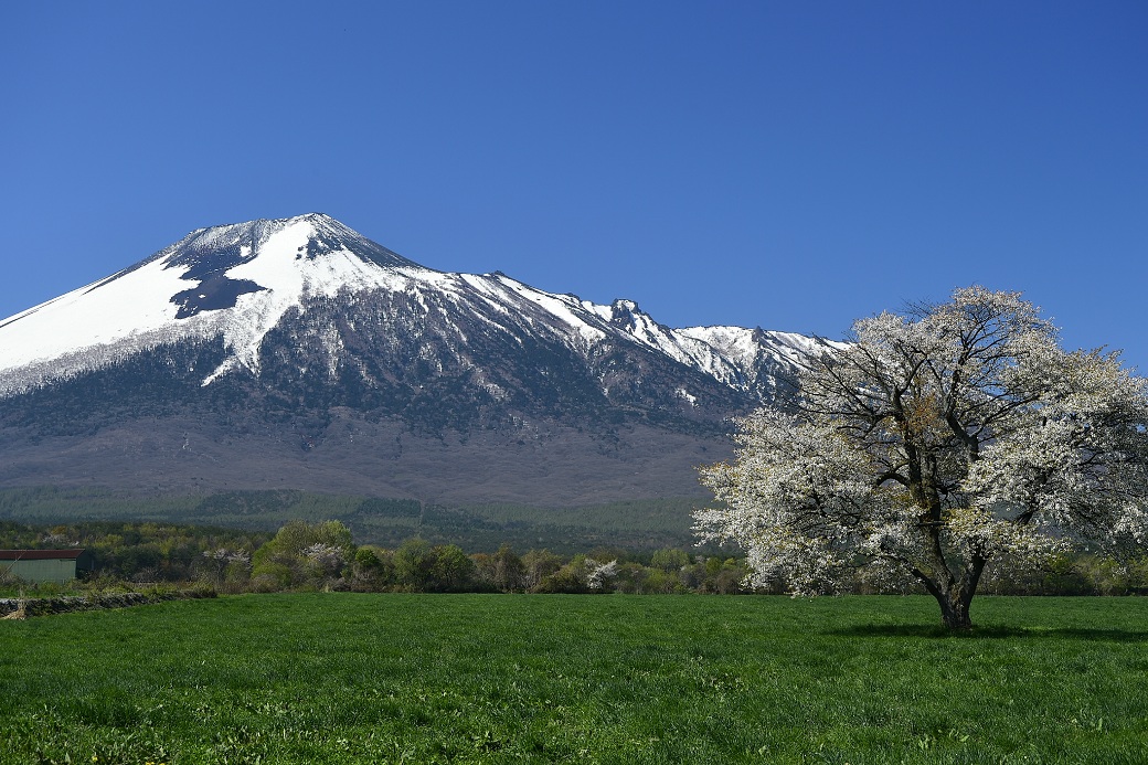 縲繰AL縺オ繧九&縺ィ邏咲ィ弱阪↓ 蟯ゥ謇狗恁蠎 縺悟盾蜉縺励∪縺励◆