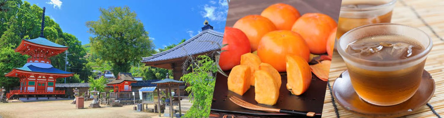 縲繰AL縺オ繧九&縺ィ邏咲ィ弱阪↓ 蜥梧ュ悟アア逵御ケ晏コヲ螻ア逕コ 縺悟盾蜉縺励∪縺励◆