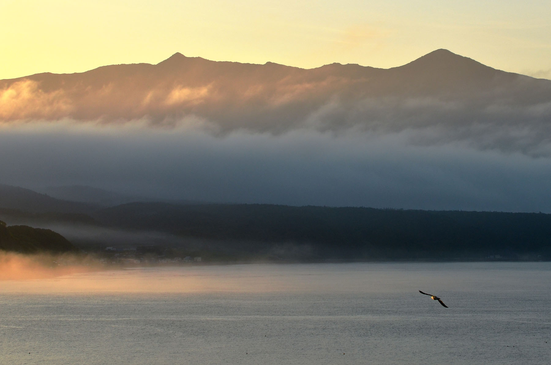 「JALふるさと納税」に 北海道様似町 が参加しました