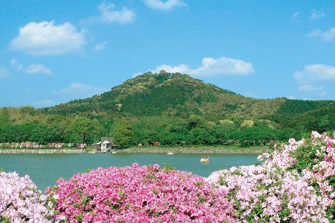 「JALふるさと納税」に  福岡県小郡市が参加しました