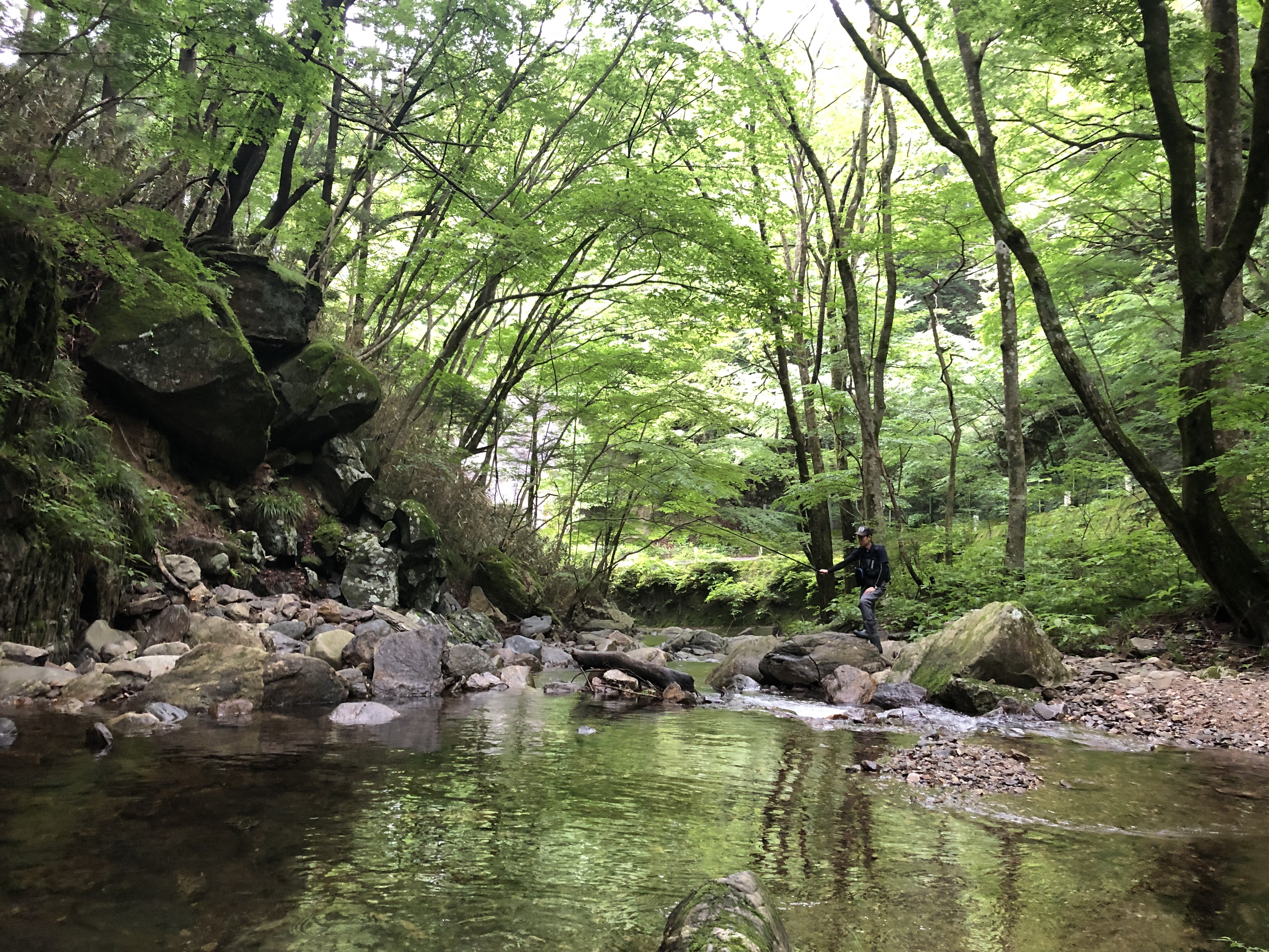 「JALふるさと納税」に 茨城県北茨城市 が参加しました。