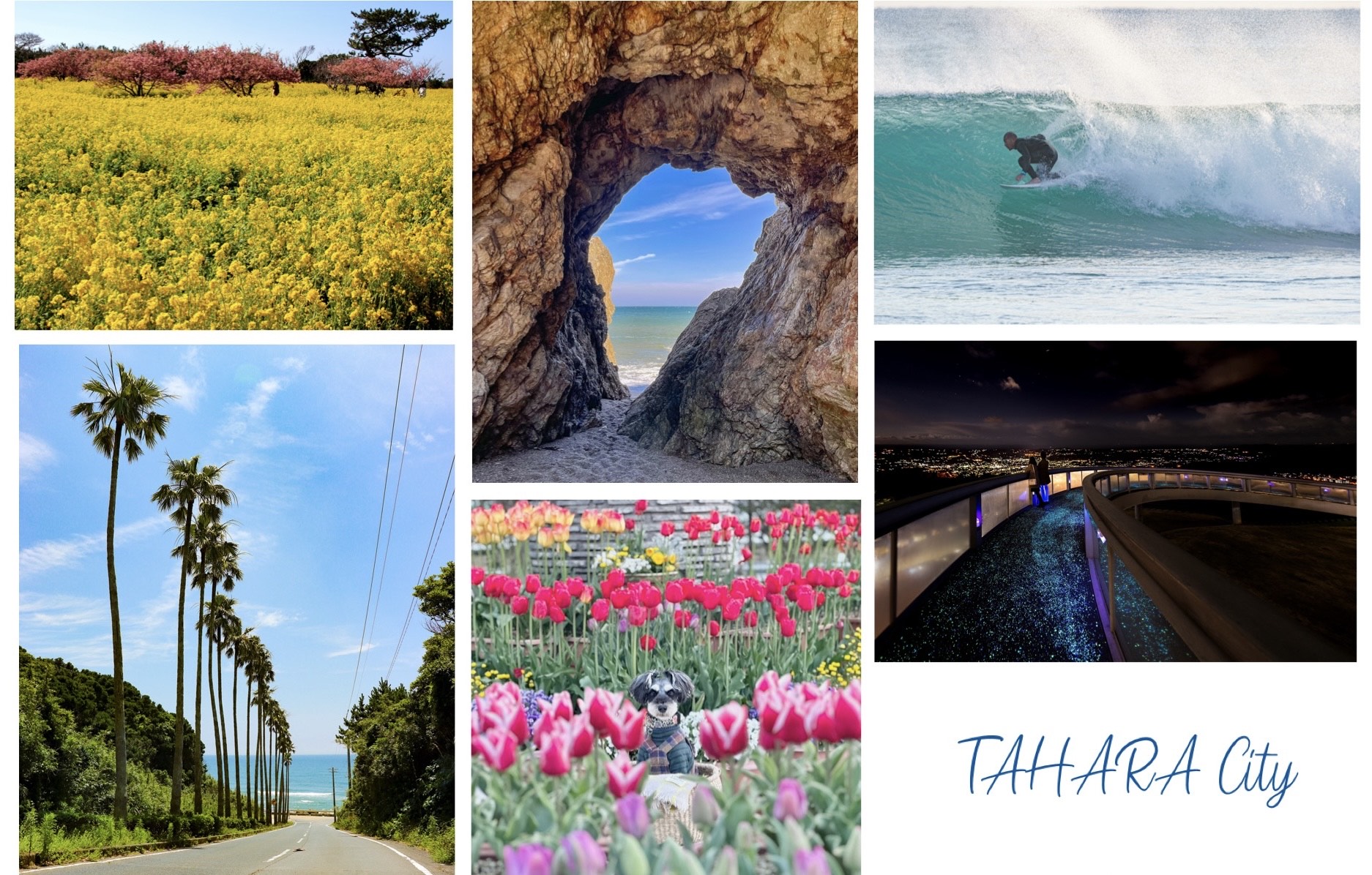 「JALふるさと納税」に 愛知県田原市 が参加しました