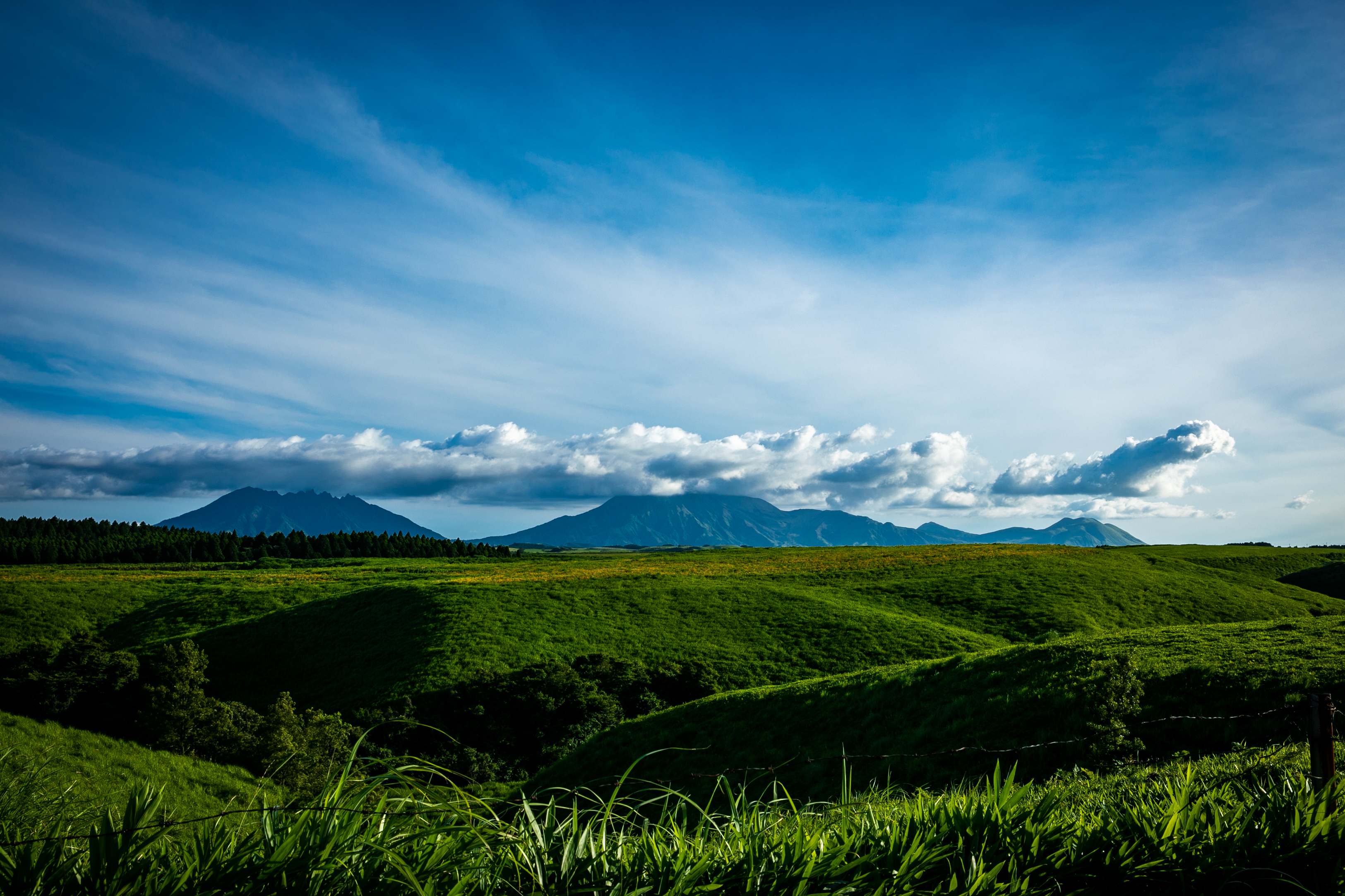 「JALふるさと納税」に 熊本県産山村 が参加しました