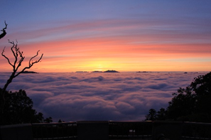 縲繰AL縺オ繧九&縺ィ邏咲ィ弱阪↓ 蛹玲オキ驕捺エ・蛻・逕コ 縺悟盾蜉縺励∪縺励◆