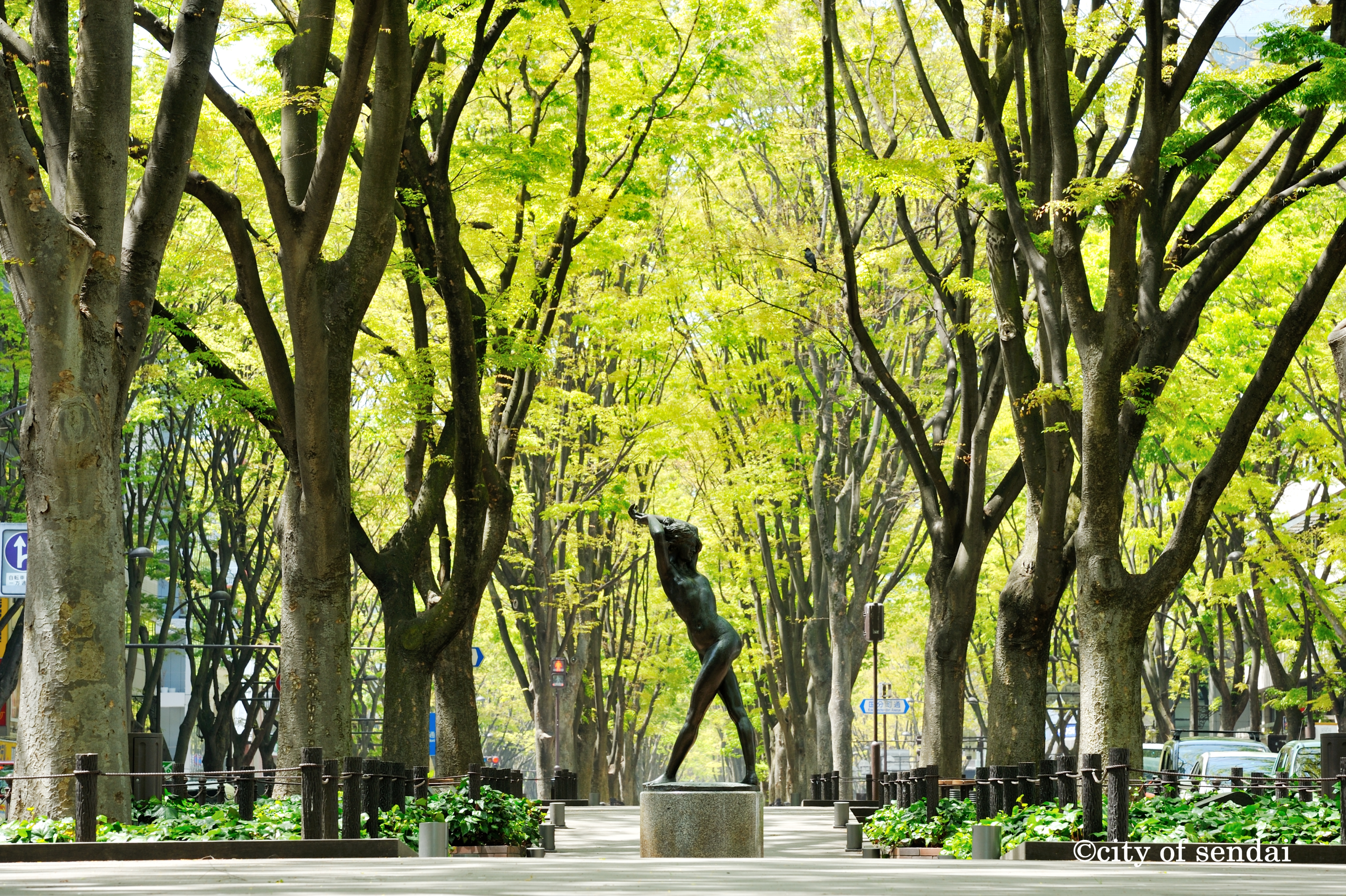 縲繰AL縺オ繧九&縺ィ邏咲ィ弱阪↓ 螳ョ蝓守恁莉吝床蟶 縺悟盾蜉縺励∪縺励◆縲