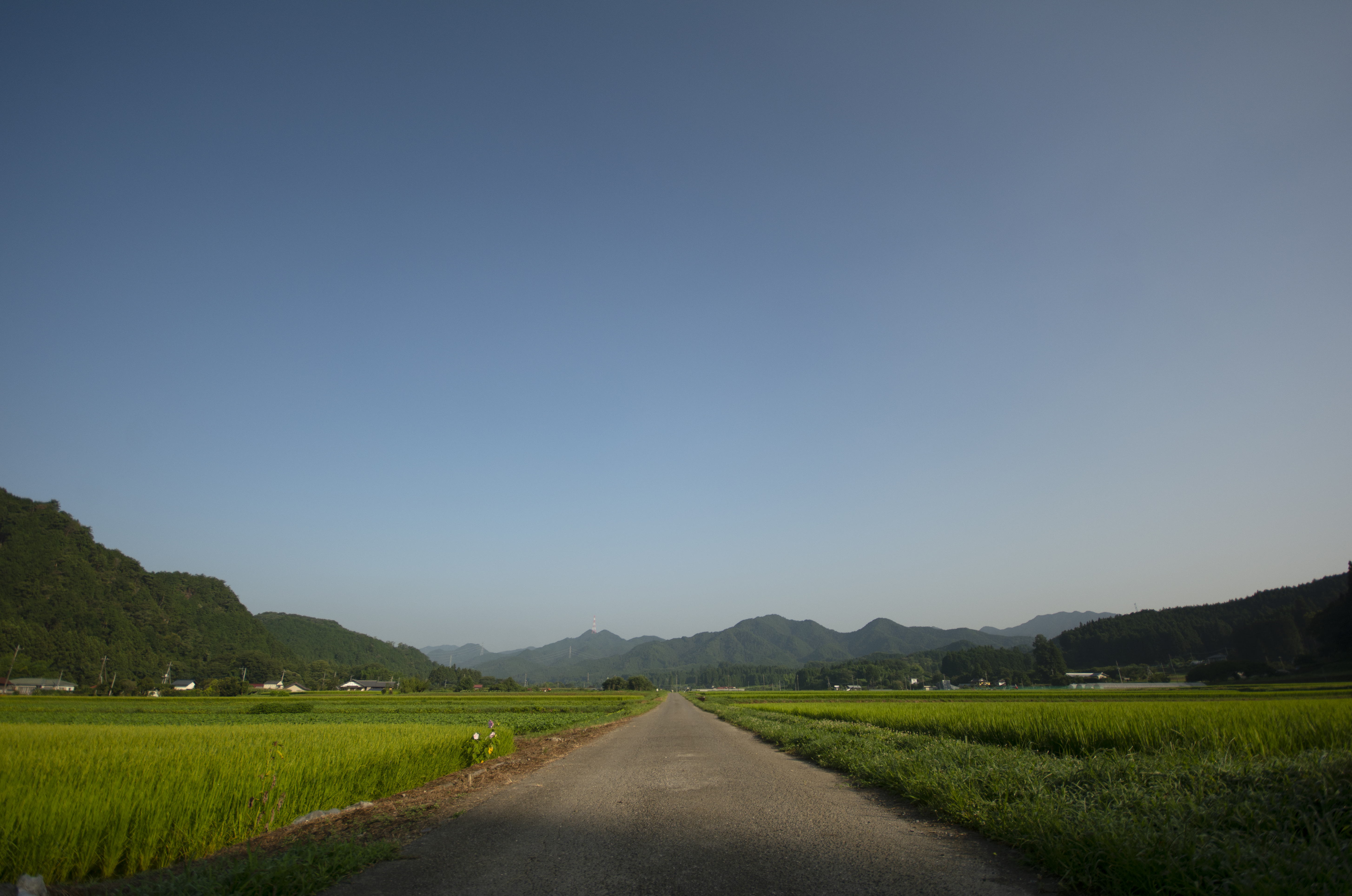 「JALふるさと納税」に 栃木県鹿沼市 が参加しました