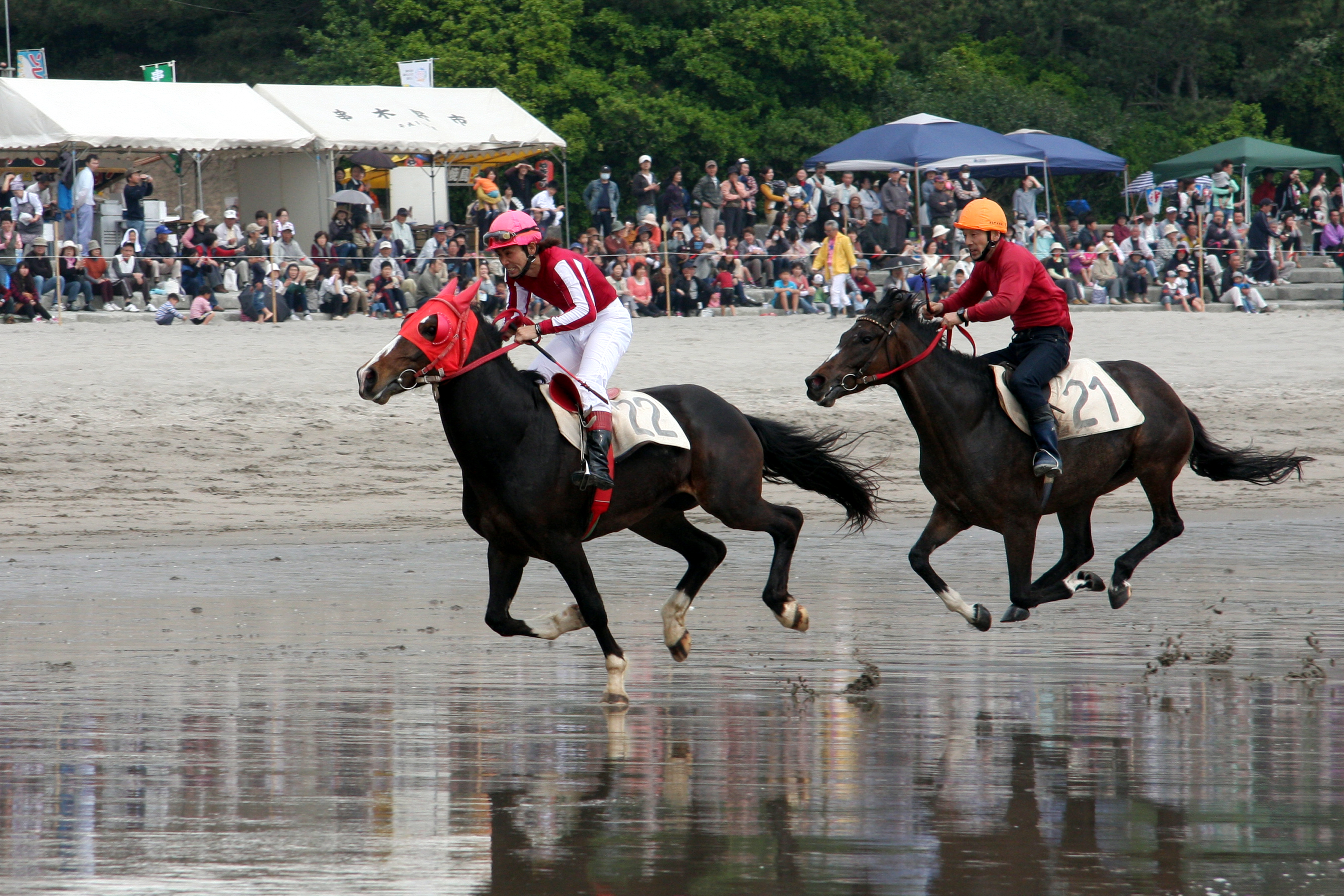 「JALふるさと納税」に 鹿児島県いちき串木野市 が参加しました