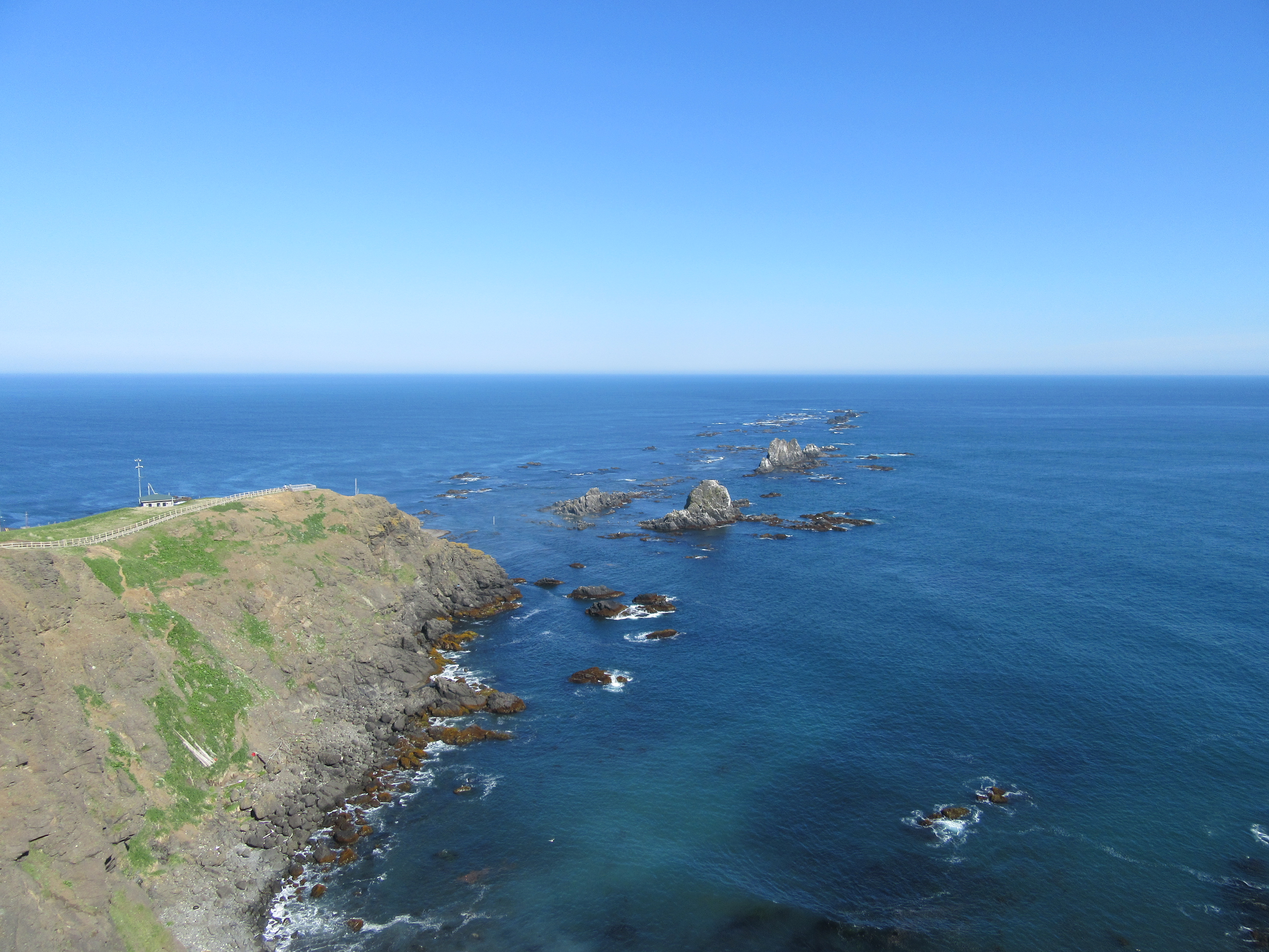 「JALふるさと納税」に 大分県中津市 が参加しました