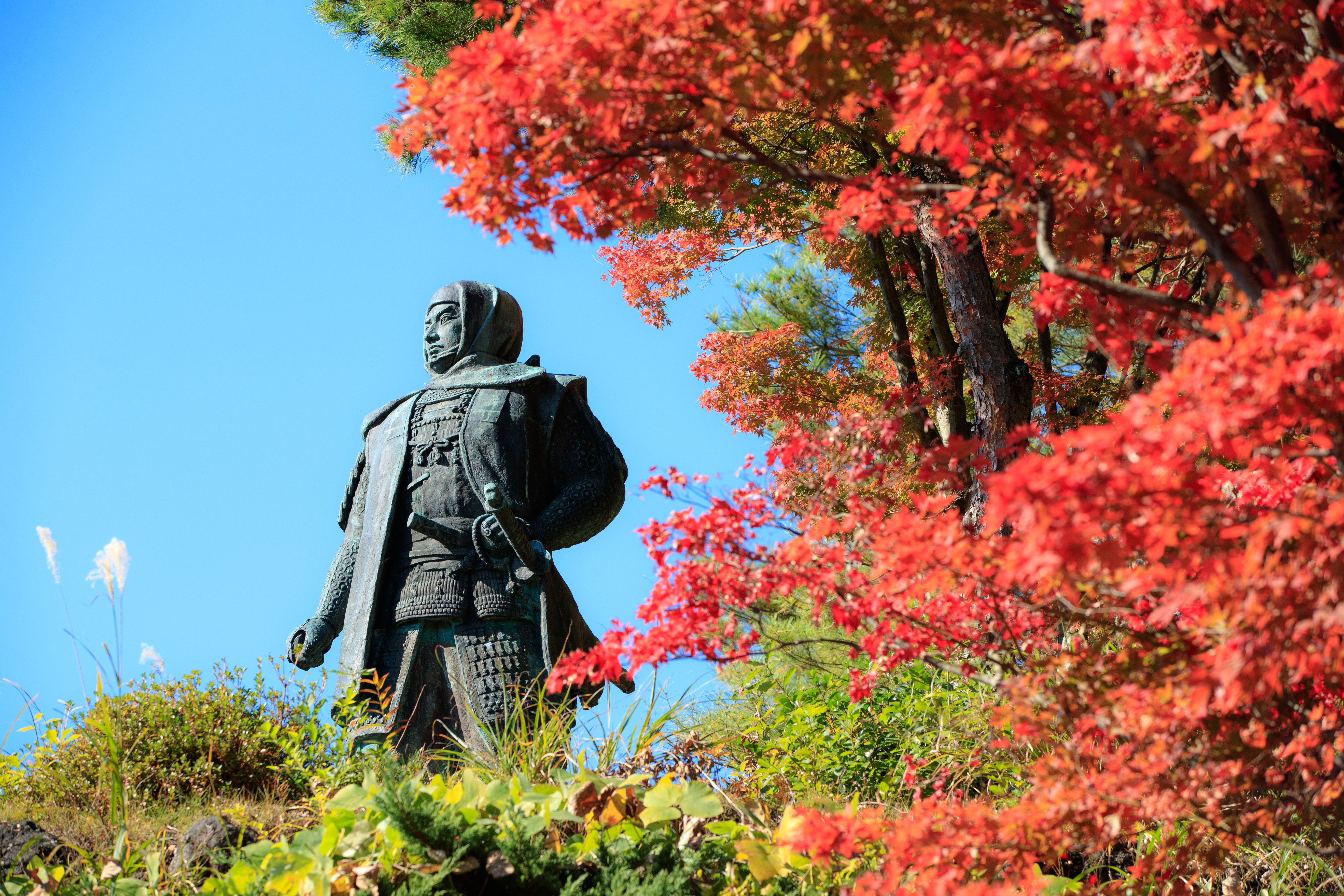 「JALふるさと納税」に 新潟県上越市 が参加しました。