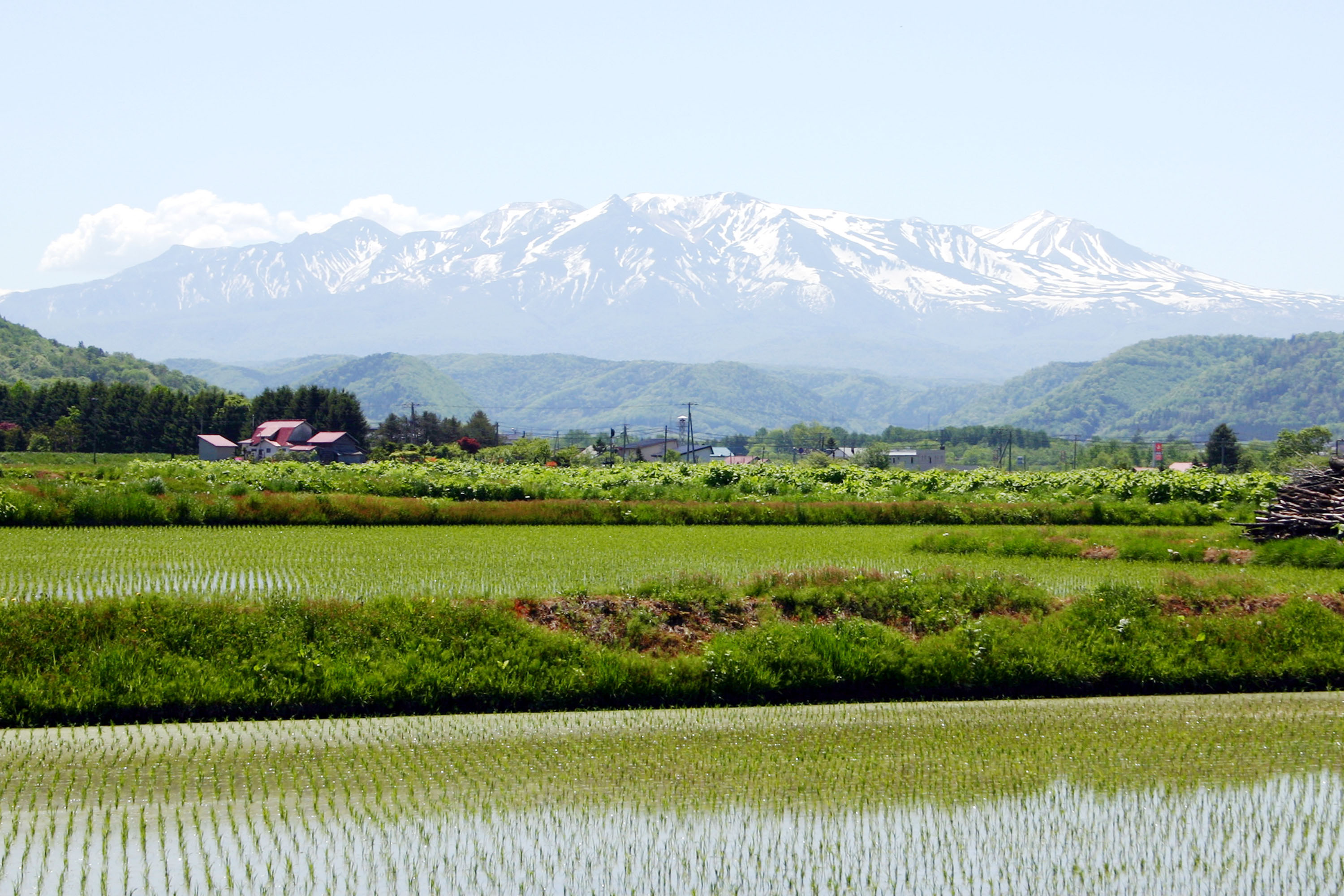 「JALふるさと納税」に 北海道愛別町 が参加しました