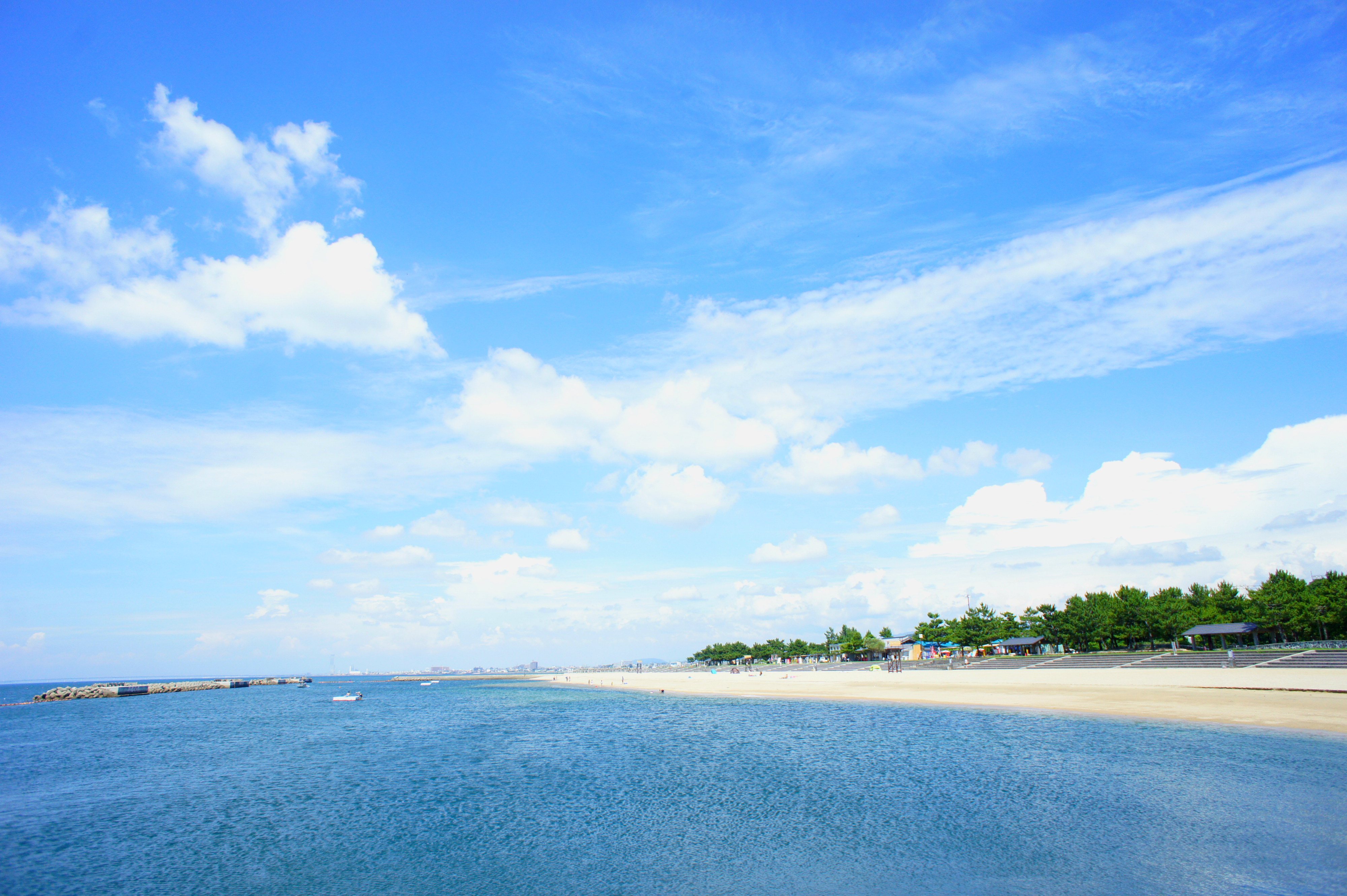 「JALふるさと納税」に 大阪府阪南市 が参加しました