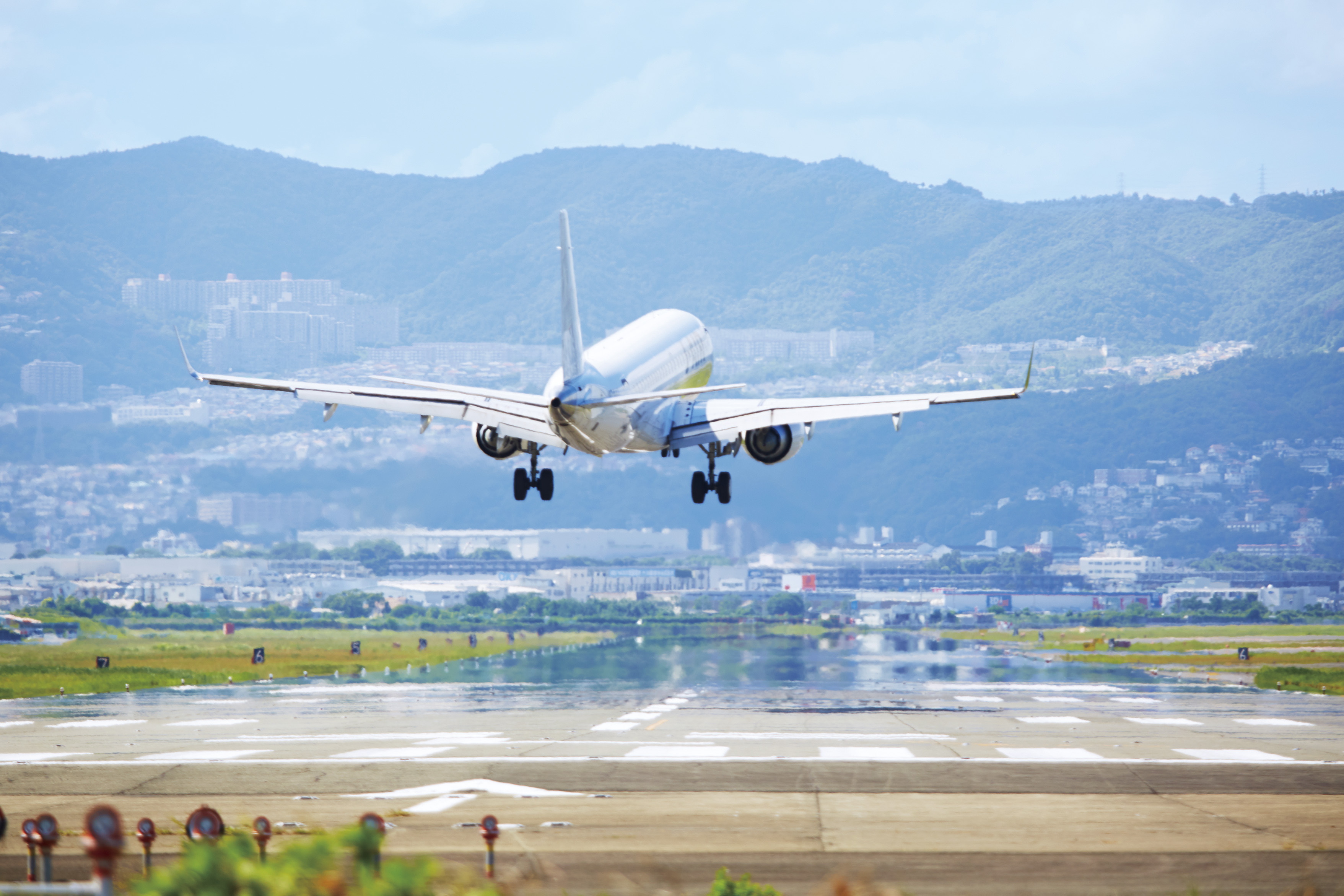 縲繰AL縺オ繧九&縺ィ邏咲ィ弱阪↓ 螟ァ髦ェ蠎懆ア贋クュ蟶 縺悟盾蜉縺励∪縺励◆