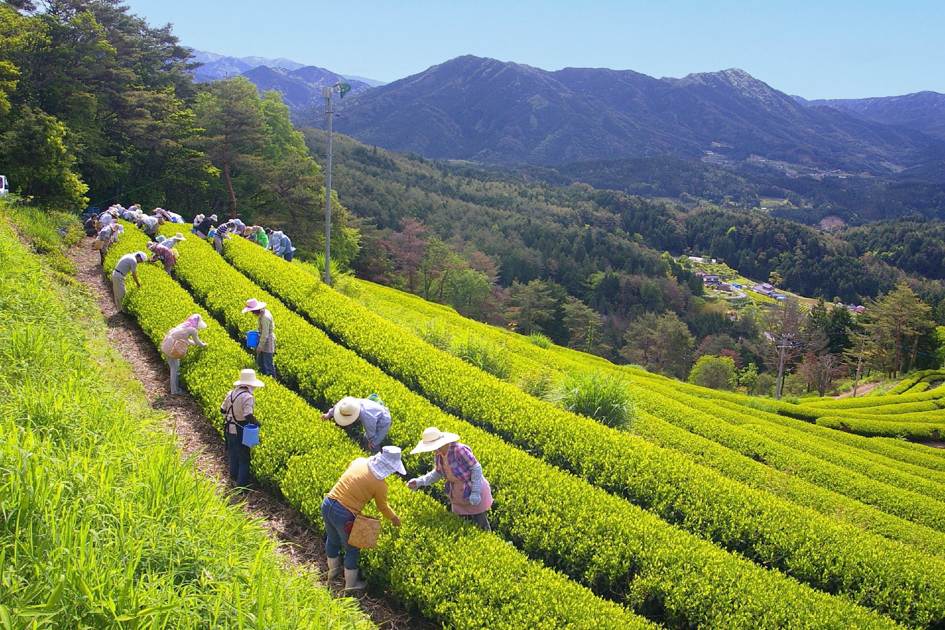 「JALふるさと納税」に 岐阜県東白川村 が参加しました。