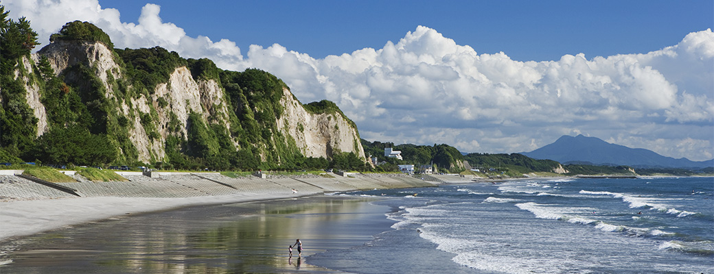 「JALふるさと納税」に 鹿児島県日置市 が参加しました
