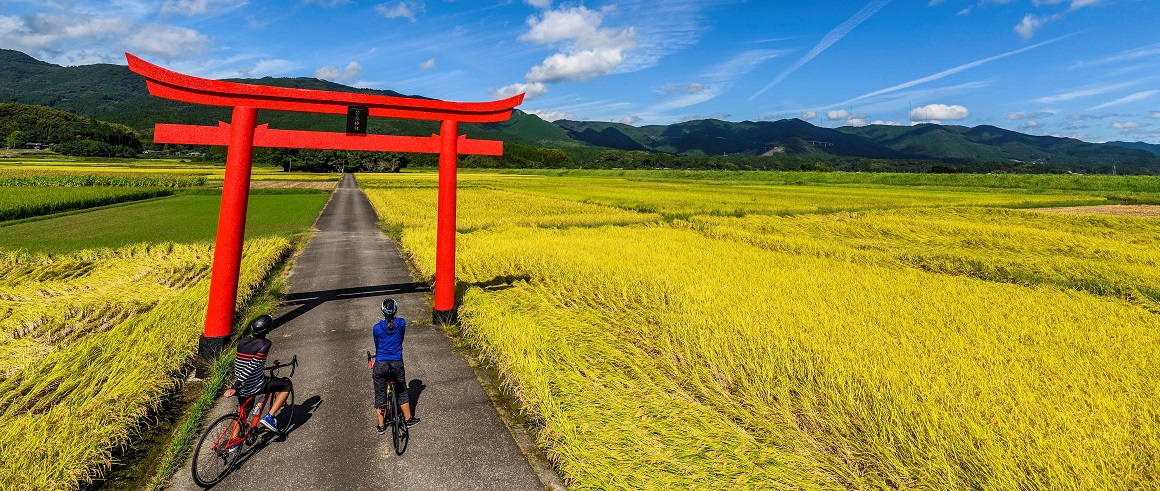 縲繰AL縺オ繧九&縺ィ邏咲ィ弱阪↓ 螳ョ蟠守恁縺医ウ縺ョ蟶 縺悟盾蜉縺励∪縺励◆縲