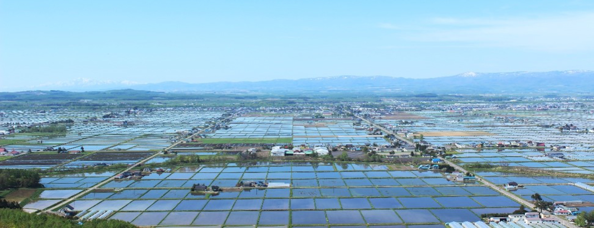 「JALふるさと納税」に北海道東川町が参加しました。