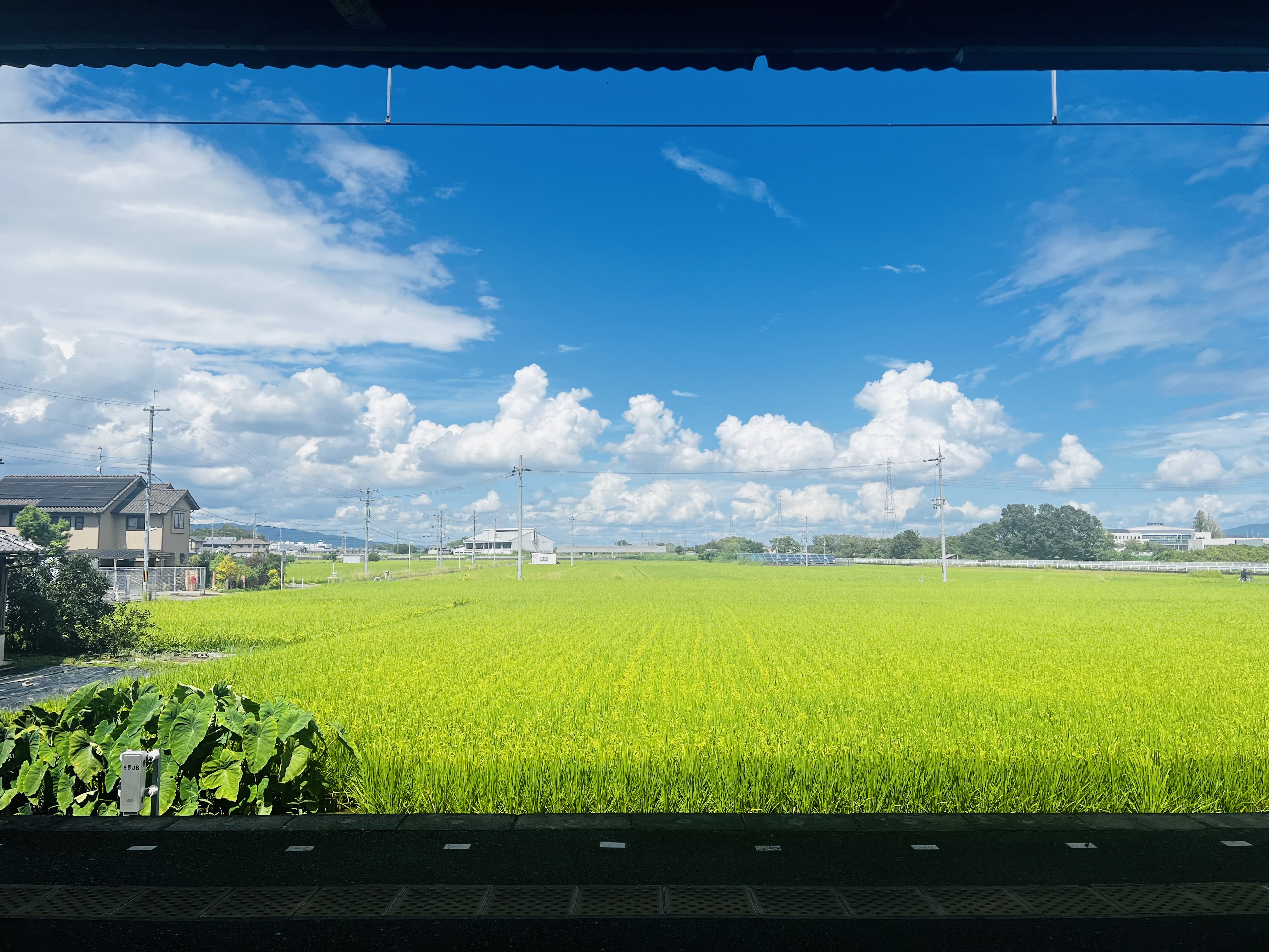 縲繰AL縺オ繧九&縺ィ邏咲ィ弱阪↓ 螂郁憶逵御ク牙ョ逕コ 縺悟盾蜉縺励∪縺励◆