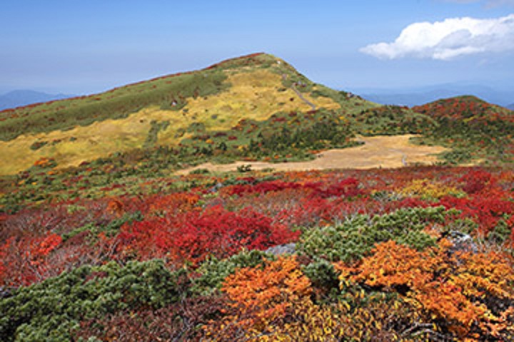 「JALふるさと納税」に 秋田県東成瀬村 が参加しました