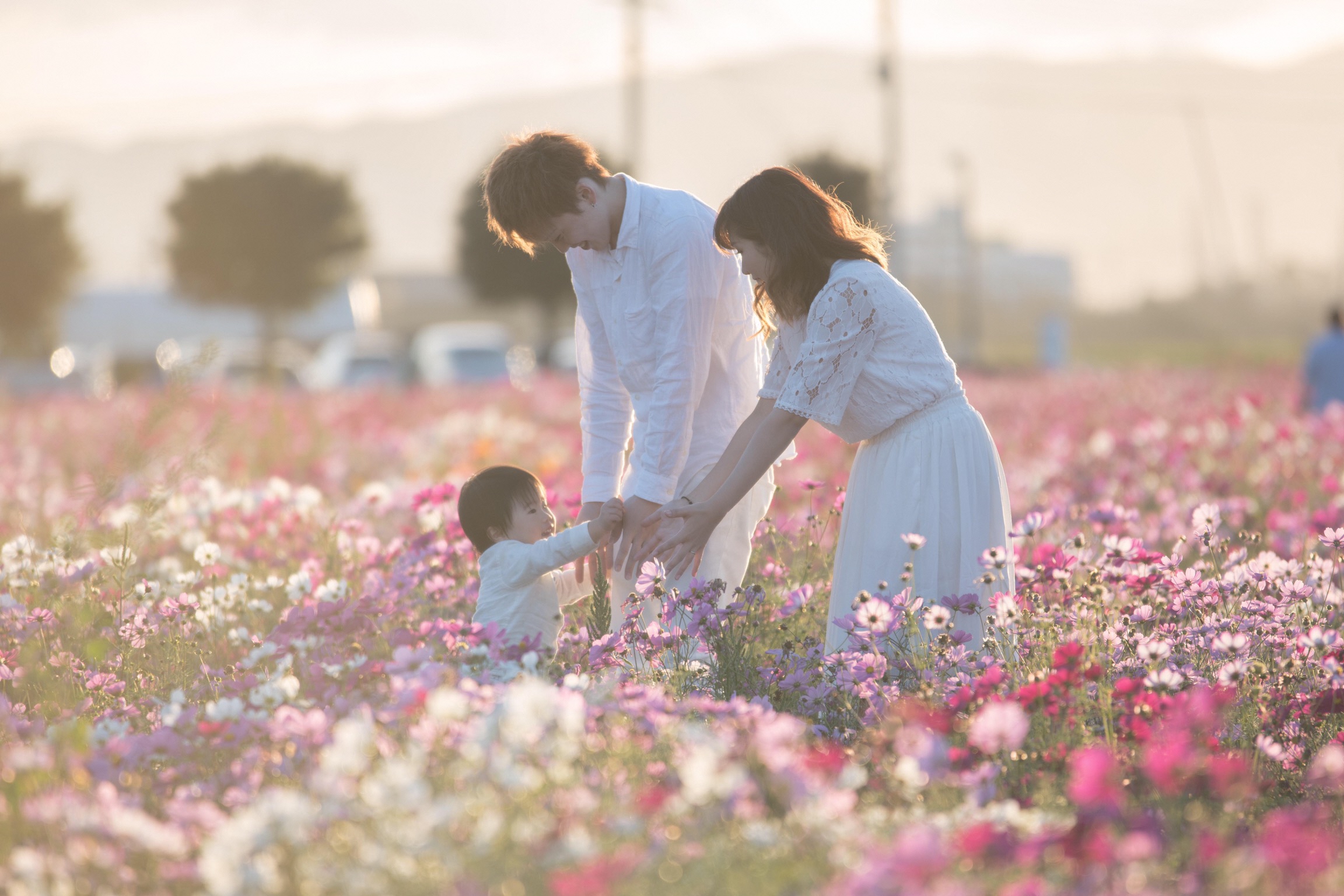 縲繰AL縺オ繧九&縺ィ邏咲ィ弱阪↓ 蟯。螻ア逵檎ャ蟯。蟶 縺悟盾蜉縺励∪縺励◆