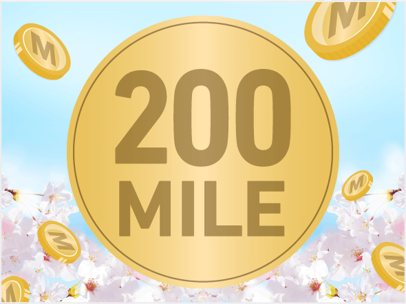 STEP3 イメージ画像