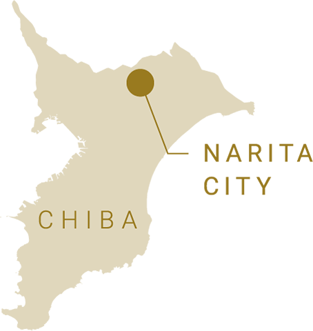 NARITA CITY